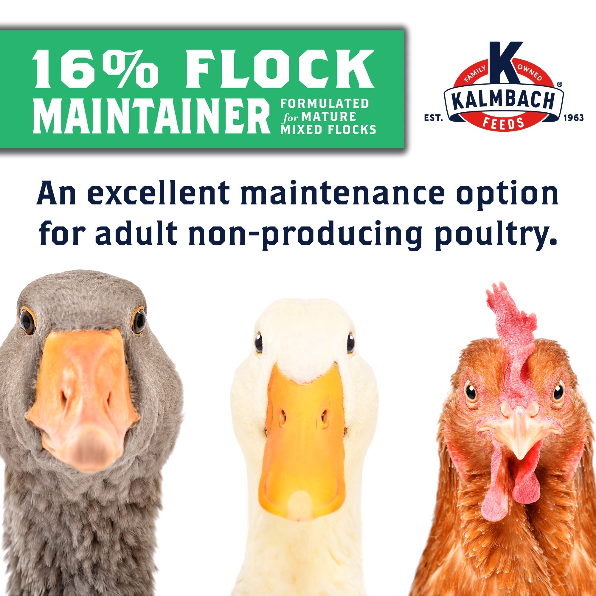 Kalmbach 16% Flock Maintainer formulated for mature mixed flocks of geese, ducks and chickens
