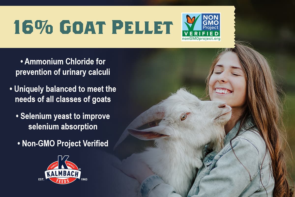 Kalmbach 16% Goat Pellet benefits infographic with ammonium chloride and selenium yeast highlights
