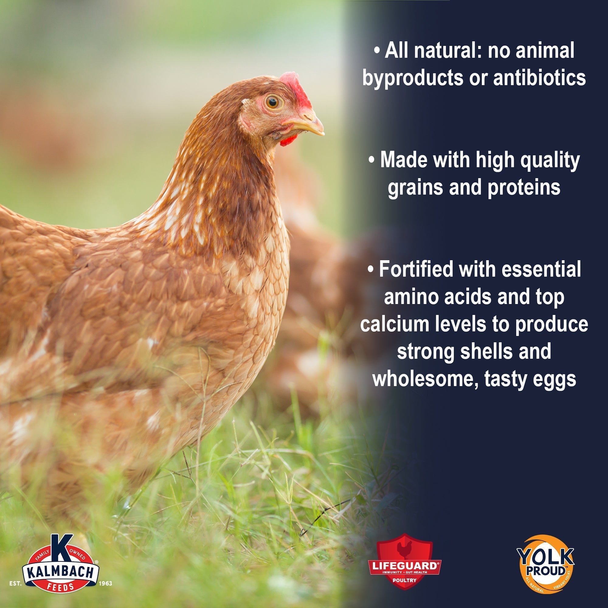 Kalmbach 17% Layer Pellets benefits: all natural, high quality grains, essential amino acids