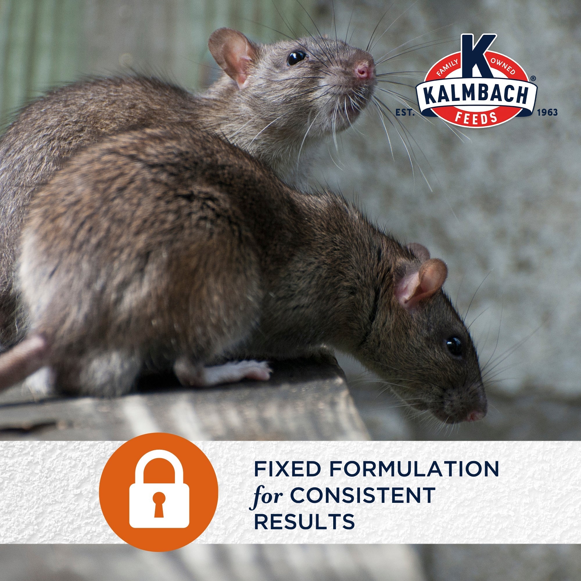 Fixed formulation for consistent results