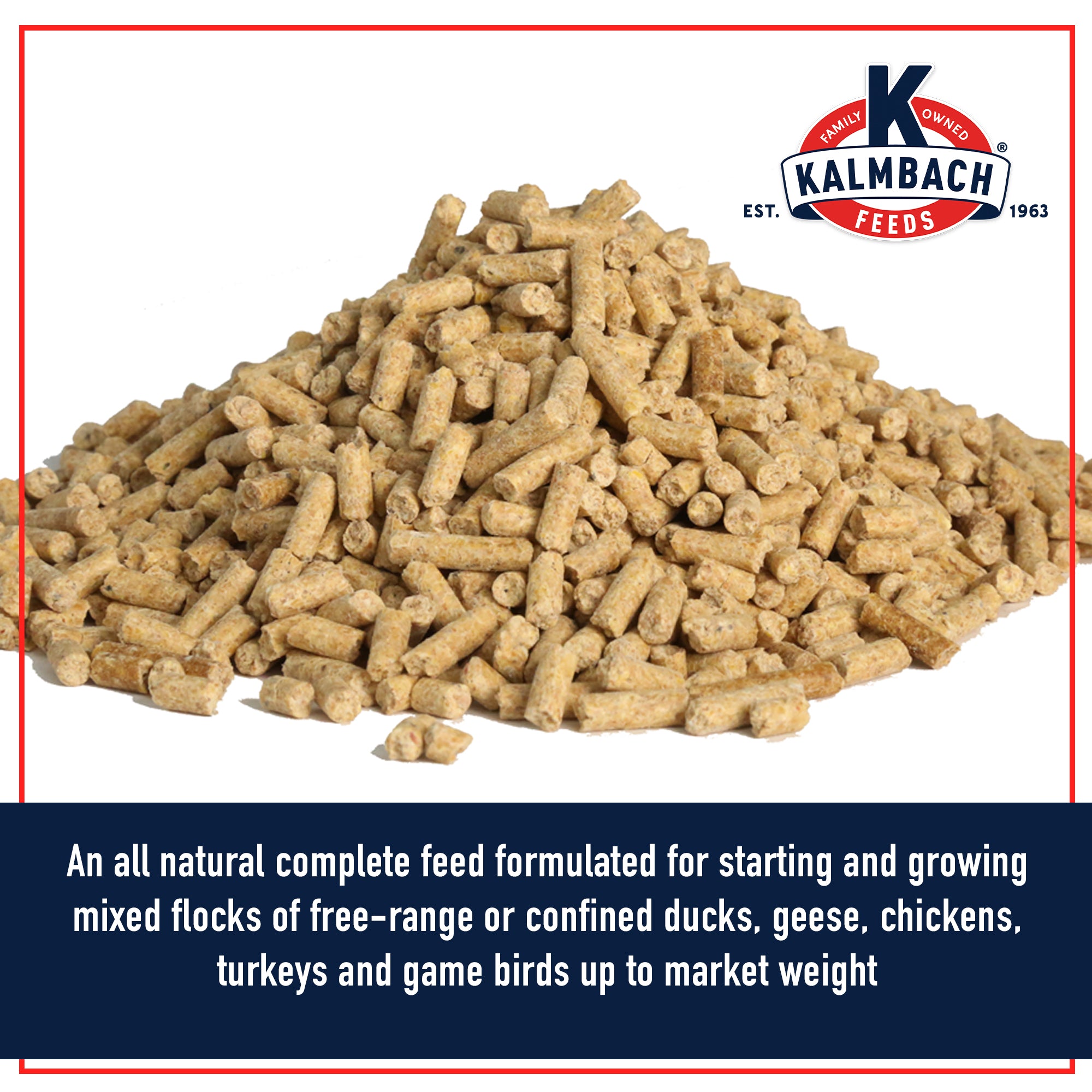 Close-up of Kalmbach 20% Flock Maker pellets, an all natural complete feed for mixed flocks