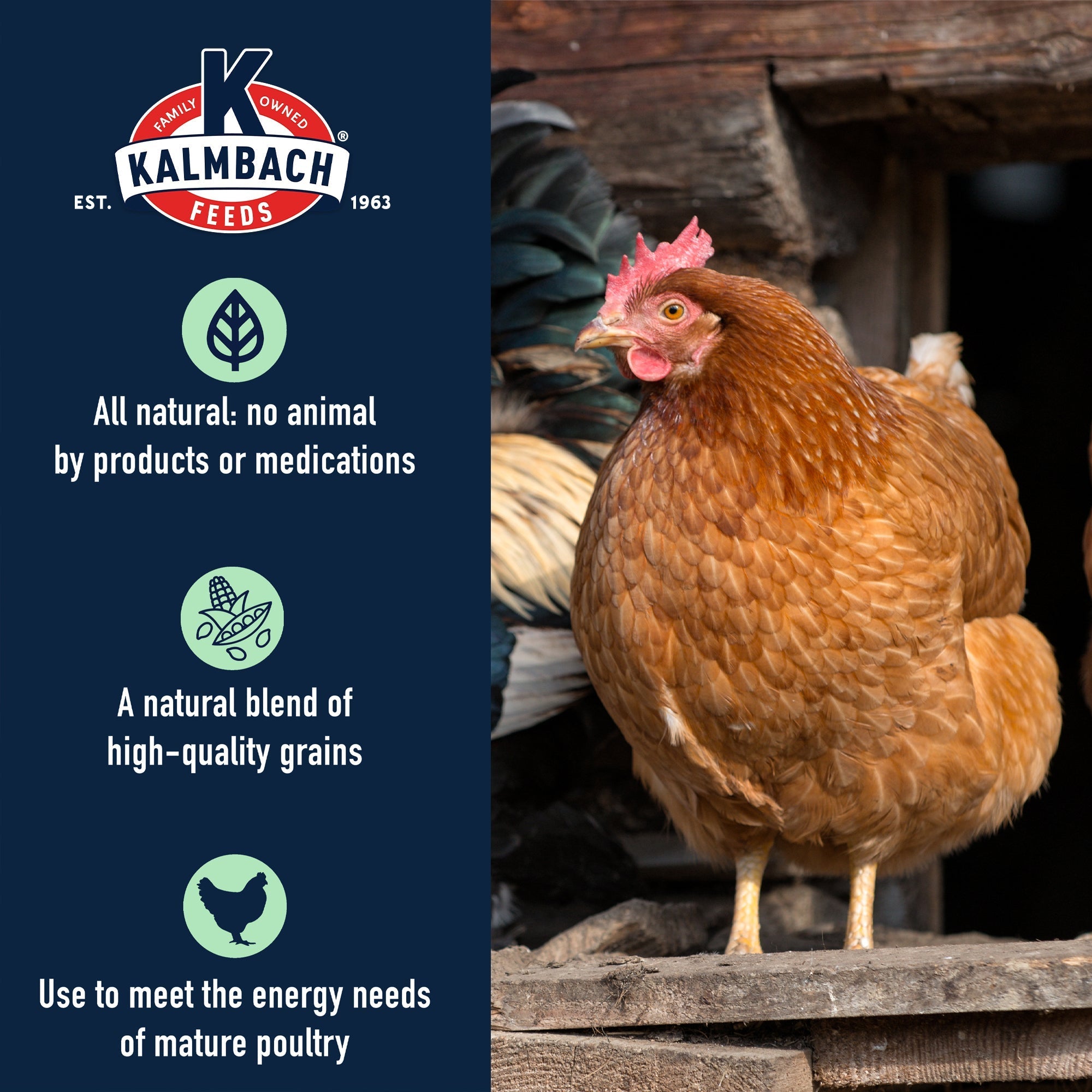 Kalmbach 5-Grain Premium Scratch benefits: all natural with no animal by-products or medications, a natural blend of high-quality grains for mature poultry