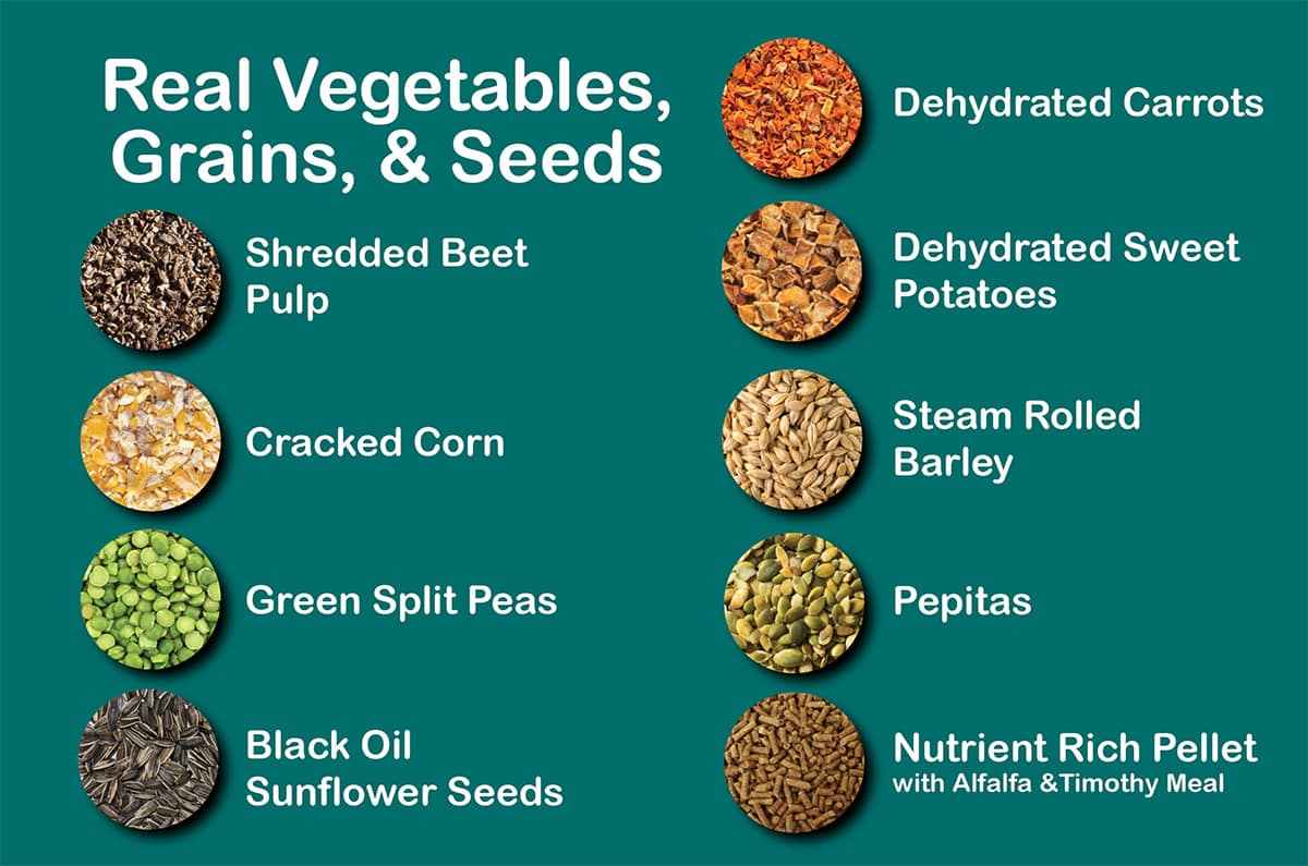 Real vegetables, grains, and seeds in Kalmbach Goat Granola