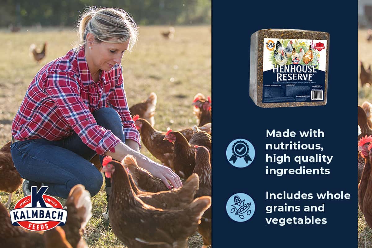 Henhouse Reserve block benefits: nutritious high quality ingredients with whole grains and vegetables