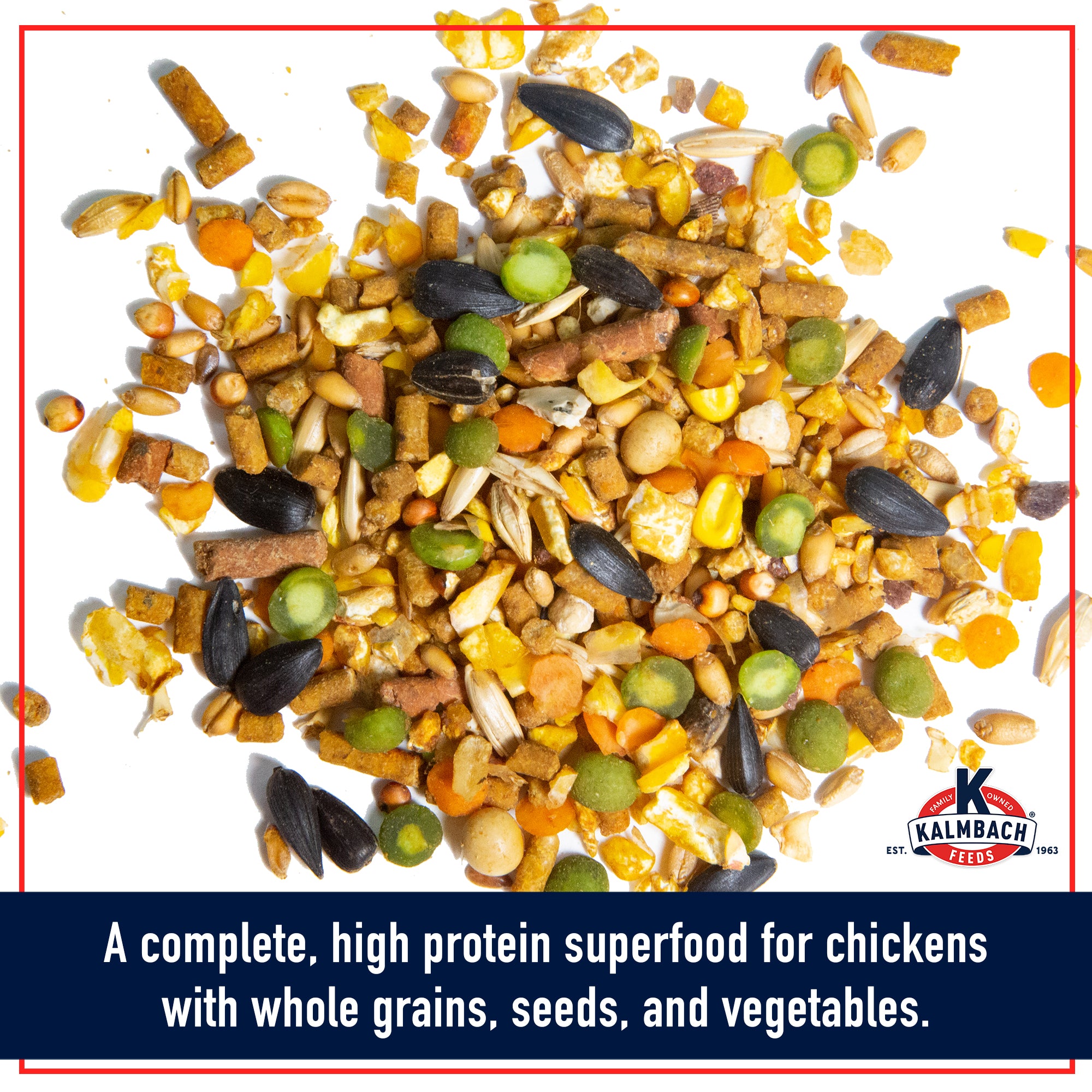 Close-up of Henhouse Reserve high protein superfood for chickens with whole grains, seeds, and vegetables