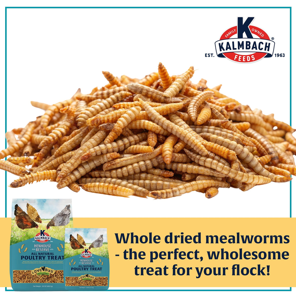 Pile of whole dried Love Bug mealworms, a wholesome treat for your flock