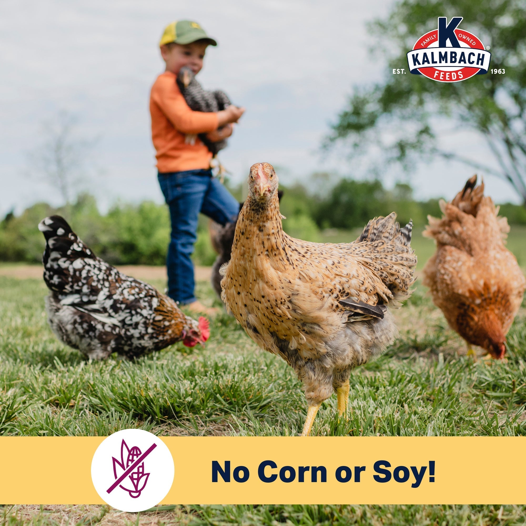Chickens free ranging with No Corn or Soy graphic for Kalmbach Organic Henhouse Reserve