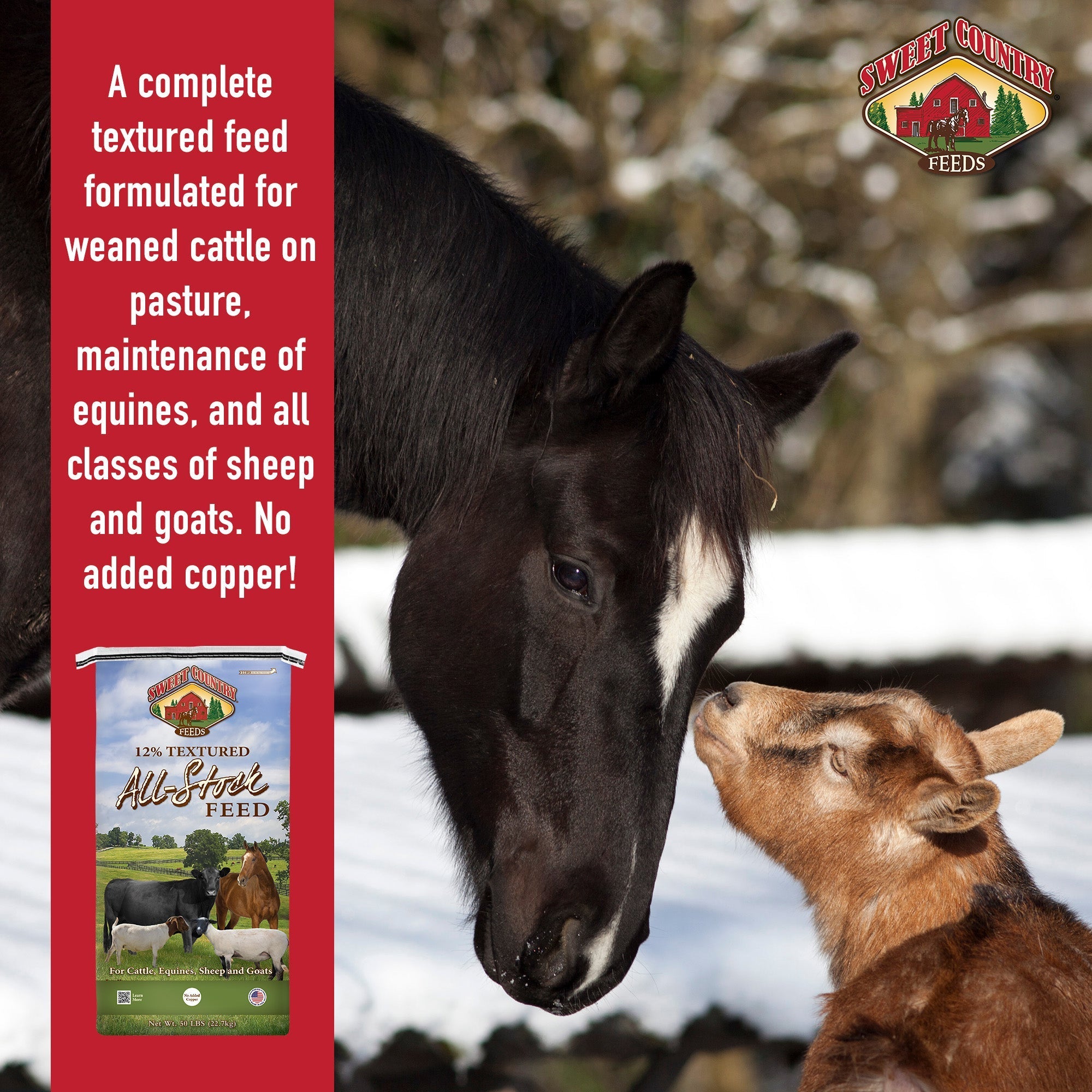 Sweet Country 12% All Stock is a complete textured feed for cattle, equines, sheep and goats