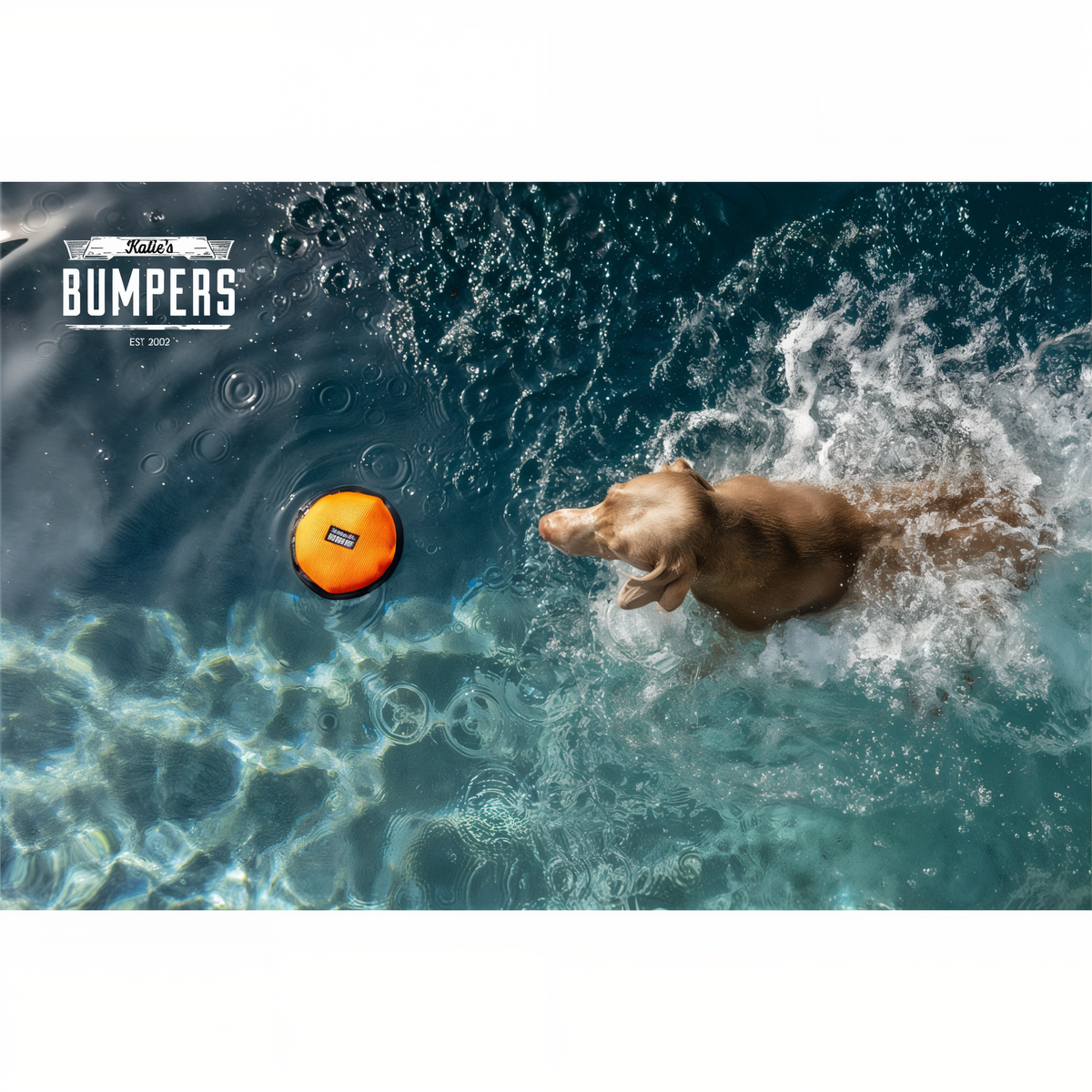 Katie's Bumpers Frequent Flyer Floater 8 in Fire Hose Dog Toy -- lifestyle