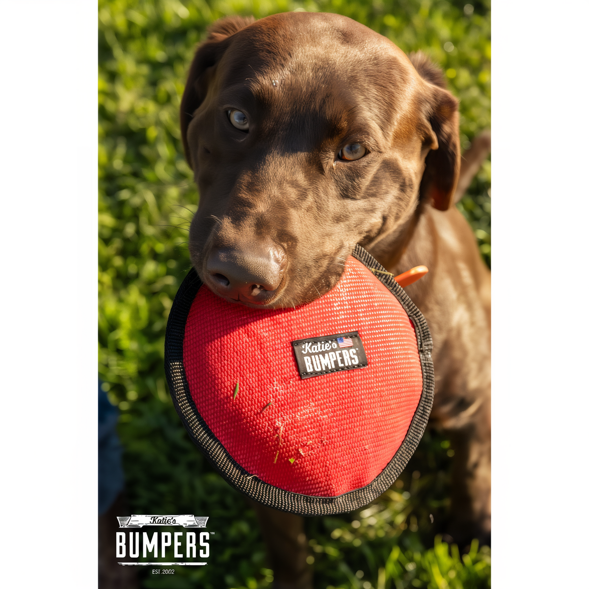 Katie's Bumpers Frequent Flyer Floater 8 in Fire Hose Dog Toy -- lifestyle