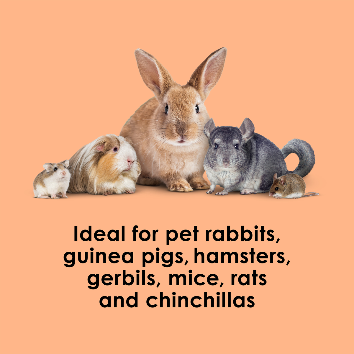 Kaytee Super C Bites, 4 Ounce ideal for small pets