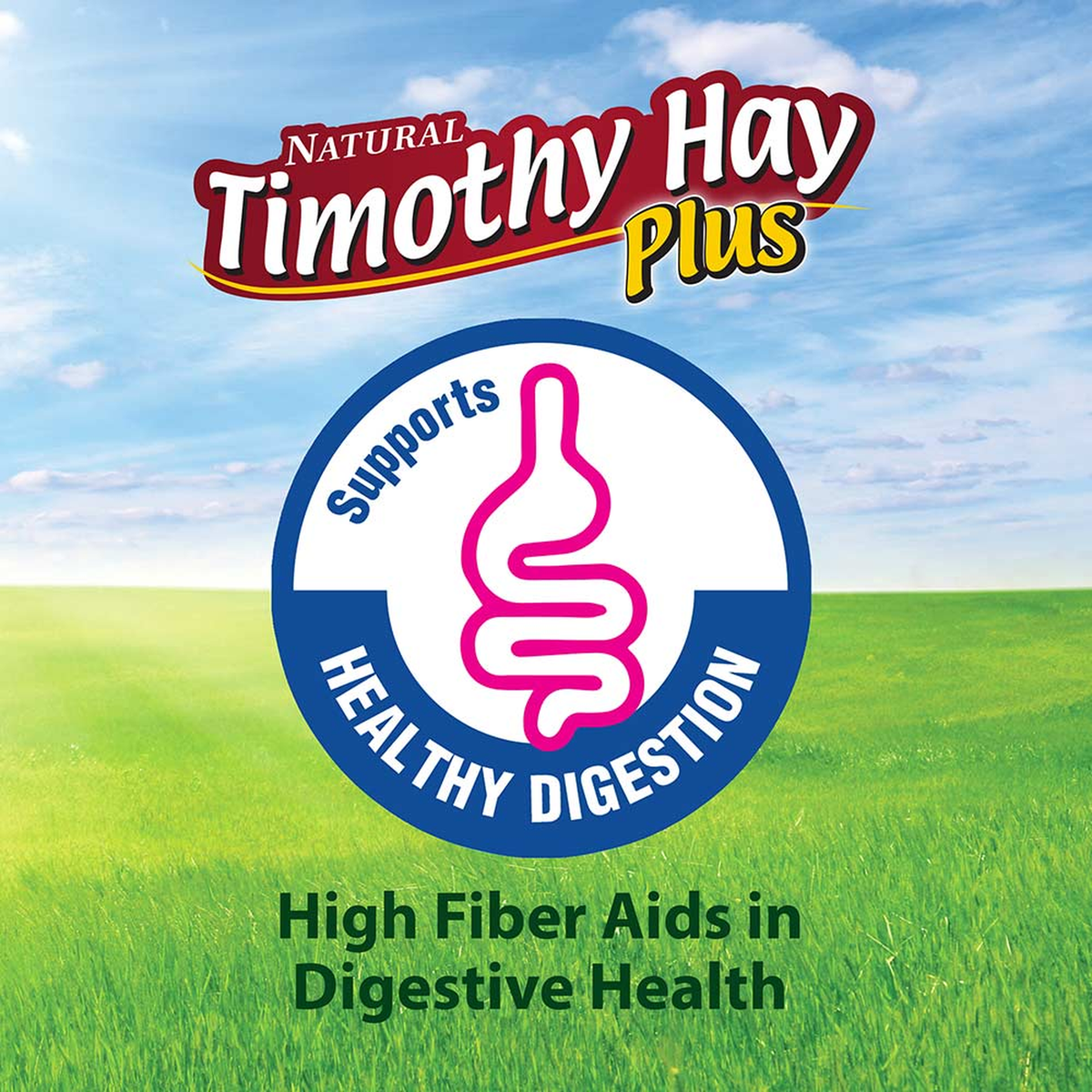Kaytee Timothy Hay Plus Carrots, 24 Ounce high fiber aids digestion
