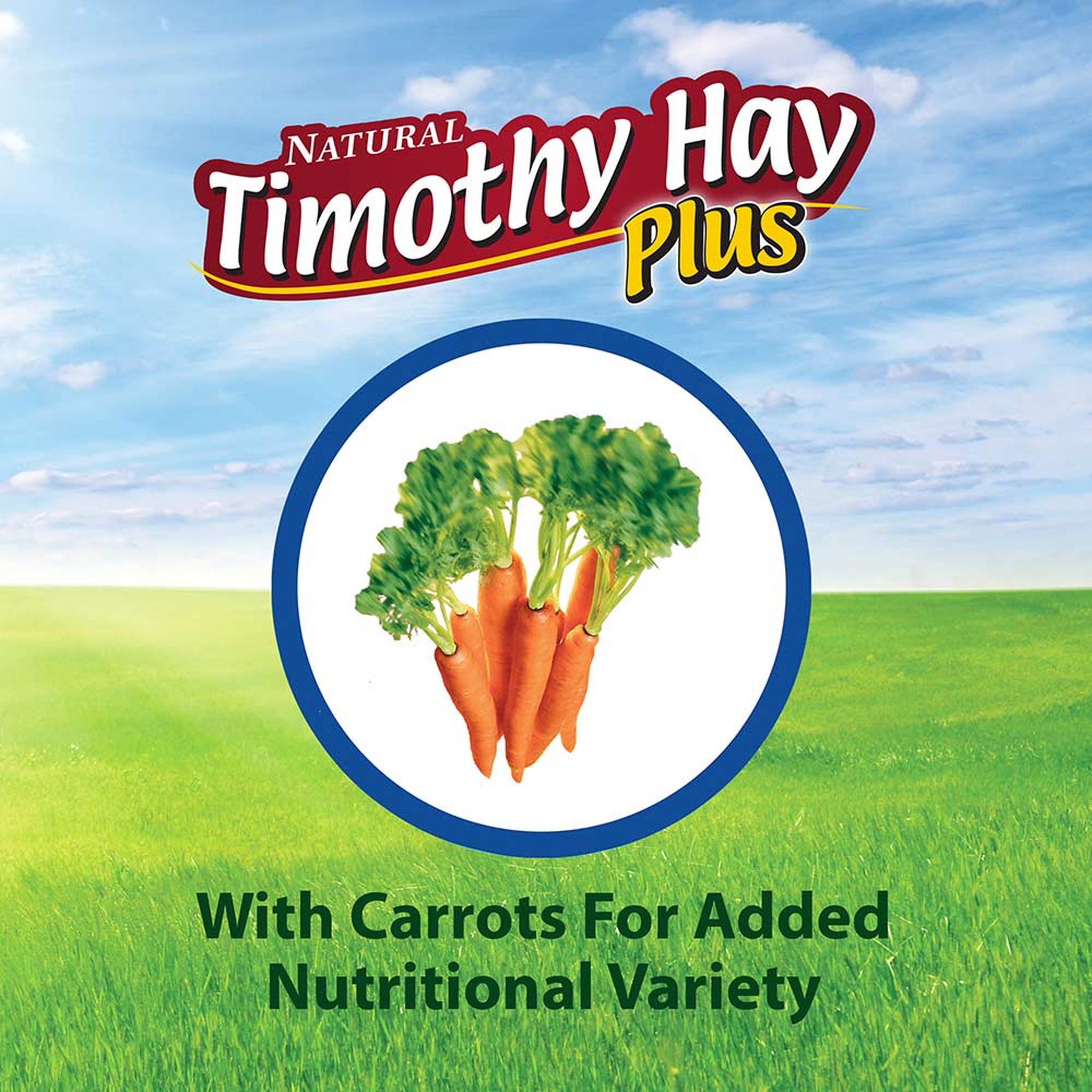 Kaytee Timothy Hay Plus Carrots, 24 Ounce with carrots for nutritional variety