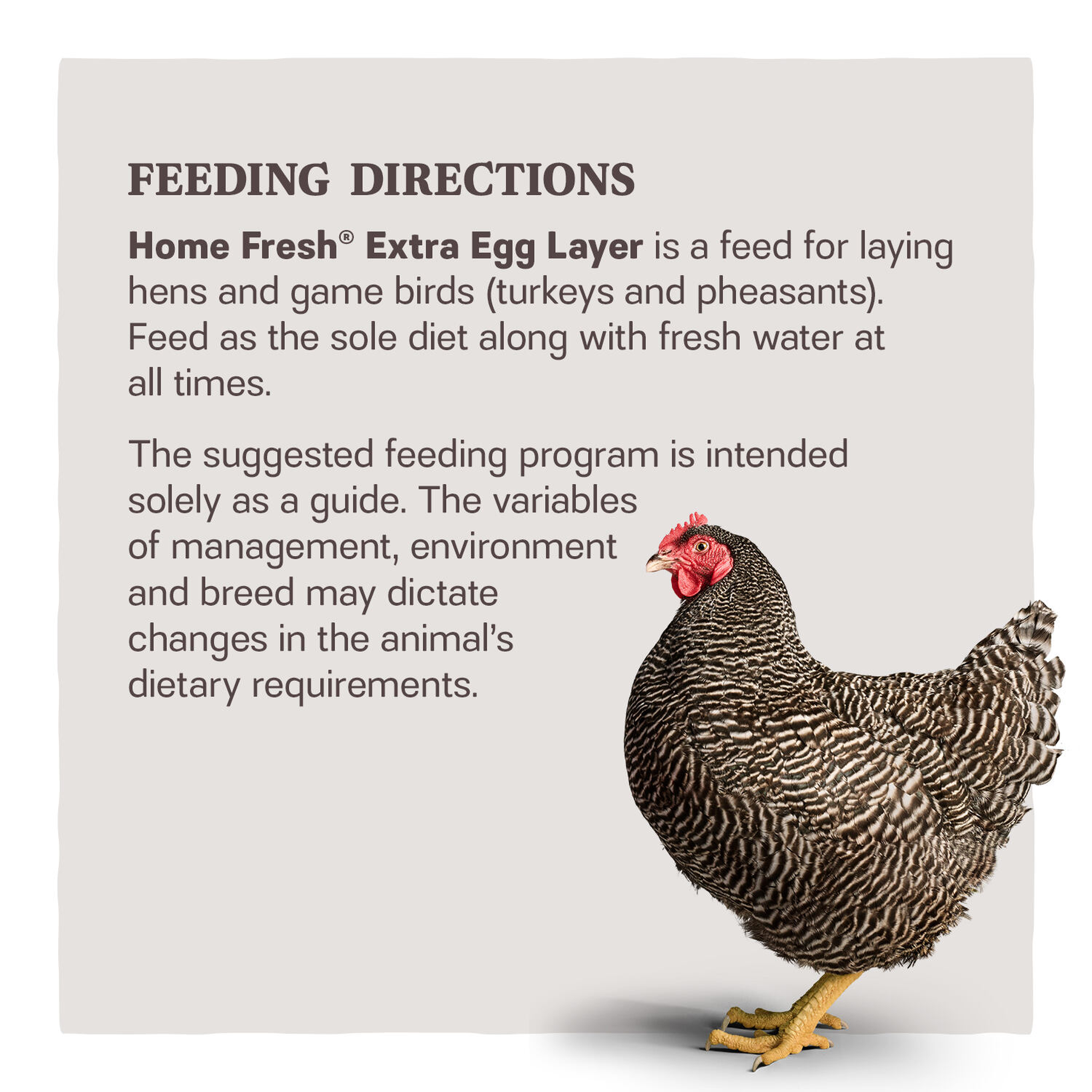 Home Fresh Extra Egg Layer feeding directions for laying hens and game birds