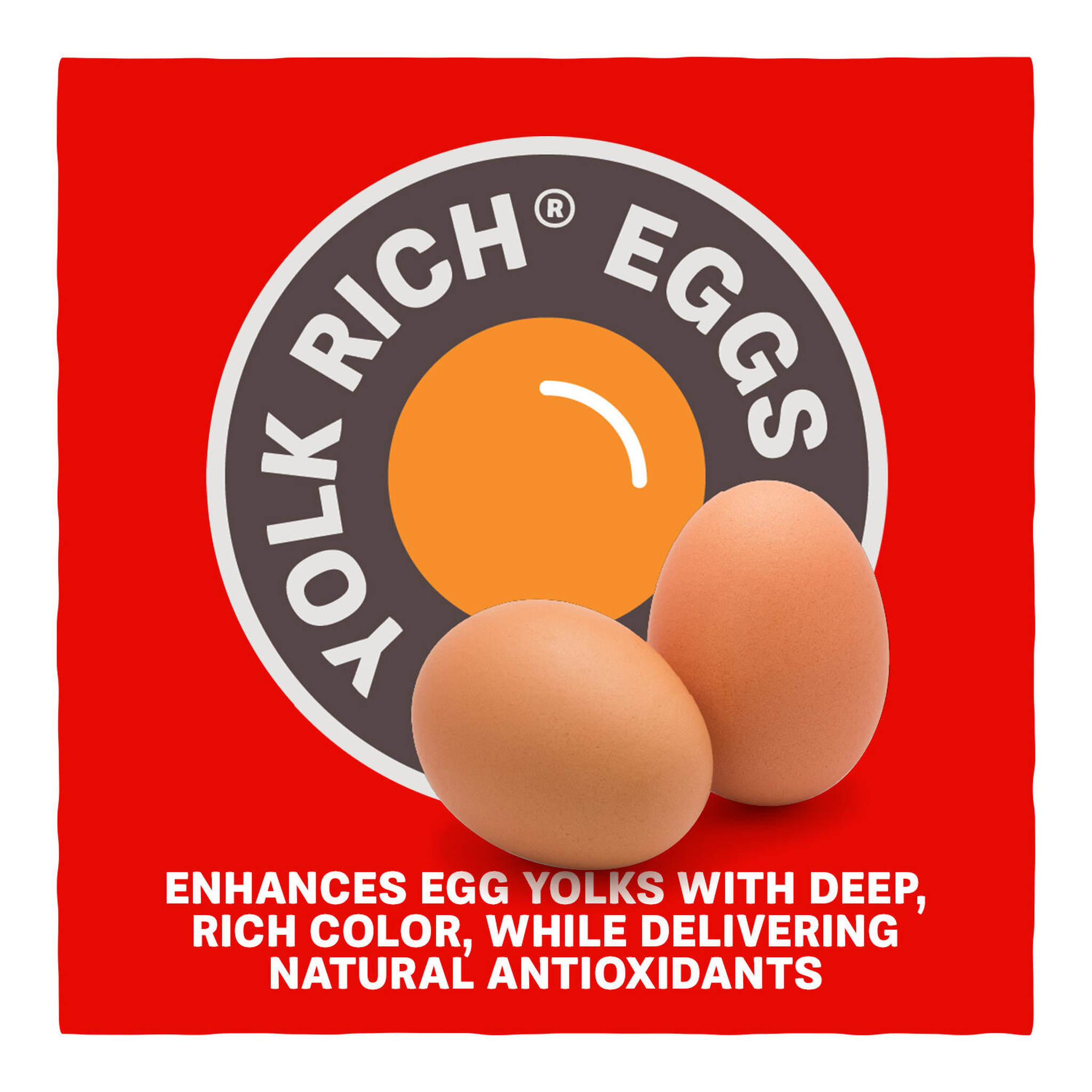 Home Fresh Extra Egg Layer Yolk Rich Eggs deep rich color and natural antioxidants