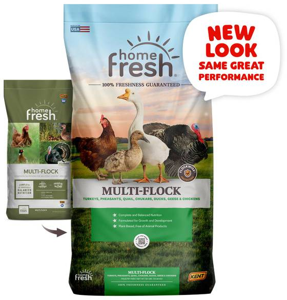 Kent Multi-Flock Chick N Game Starter/Grower Crumble