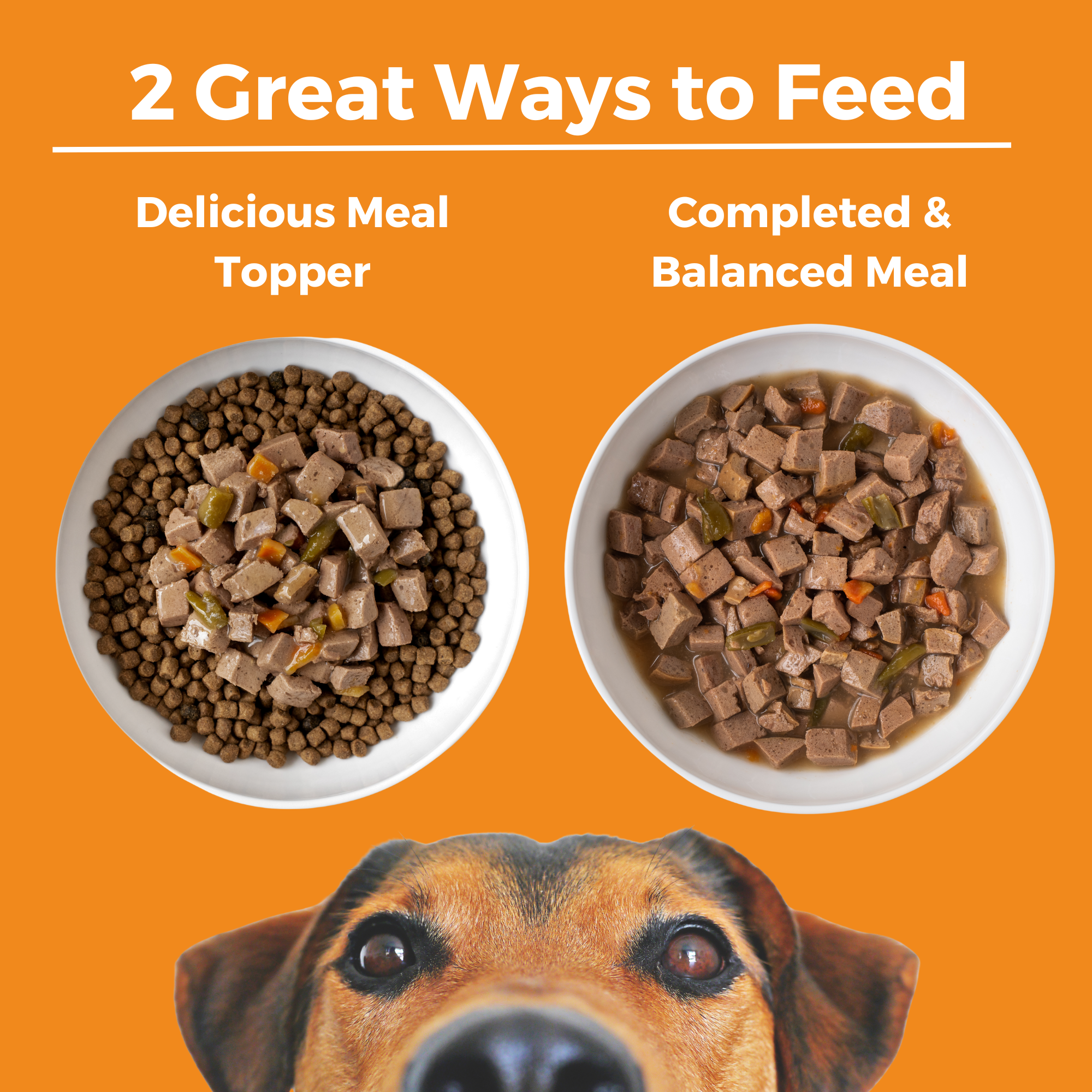 Two ways to feed KOHA Big Easy Feast for dogs: as a delicious meal topper over kibble or as a complete and balanced meal