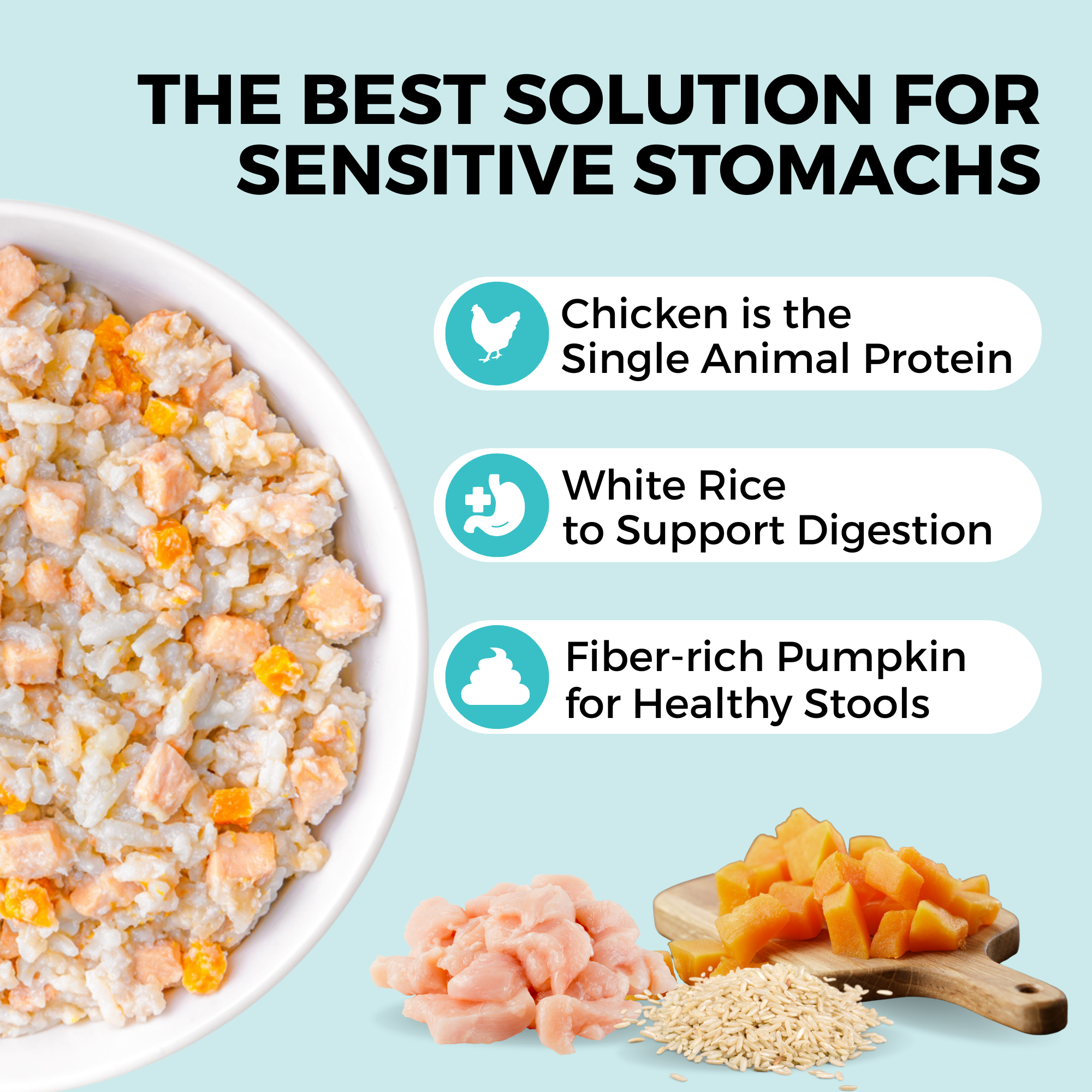 Chicken, white rice, and pumpkin bland diet for dogs with sensitive stomachs: chicken as the single animal protein, white rice to support digestion, and fiber-rich pumpkin for healthy stools