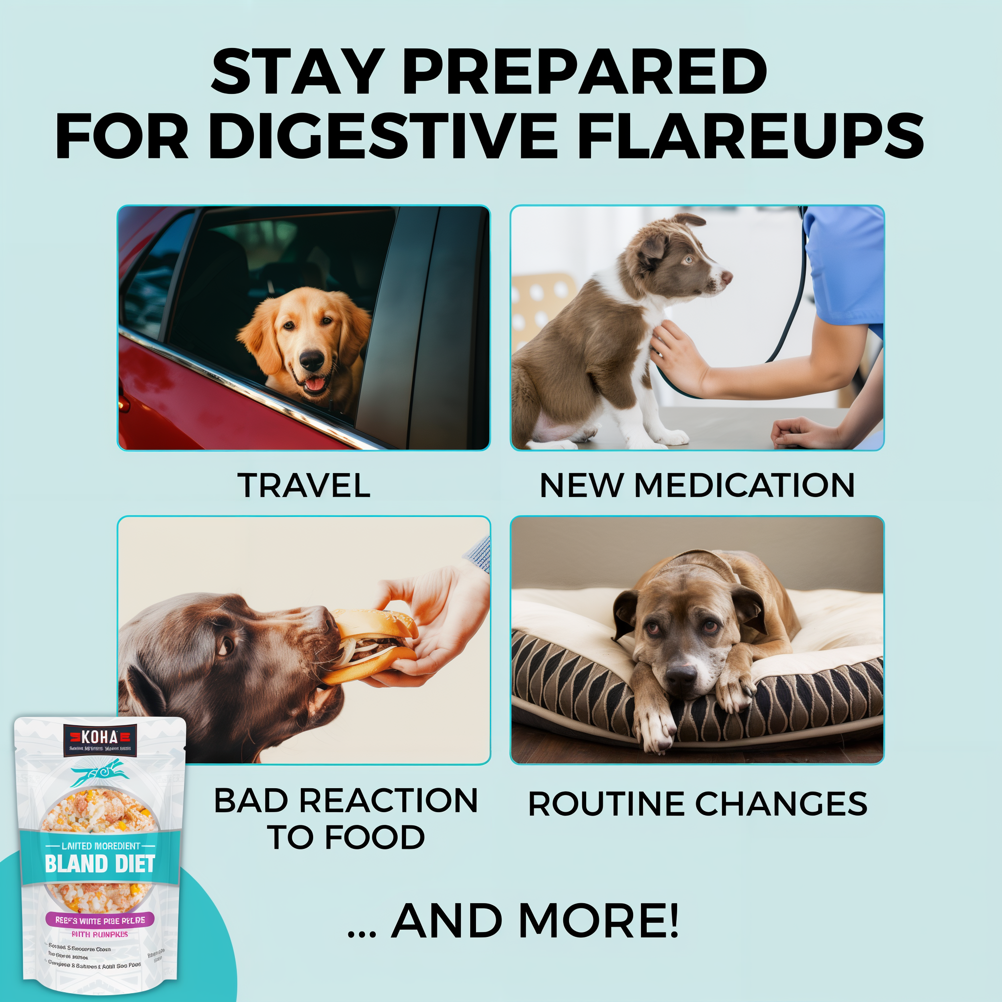 Common digestive flare-up triggers in dogs: travel, new medication, bad reaction to food, and routine changes
