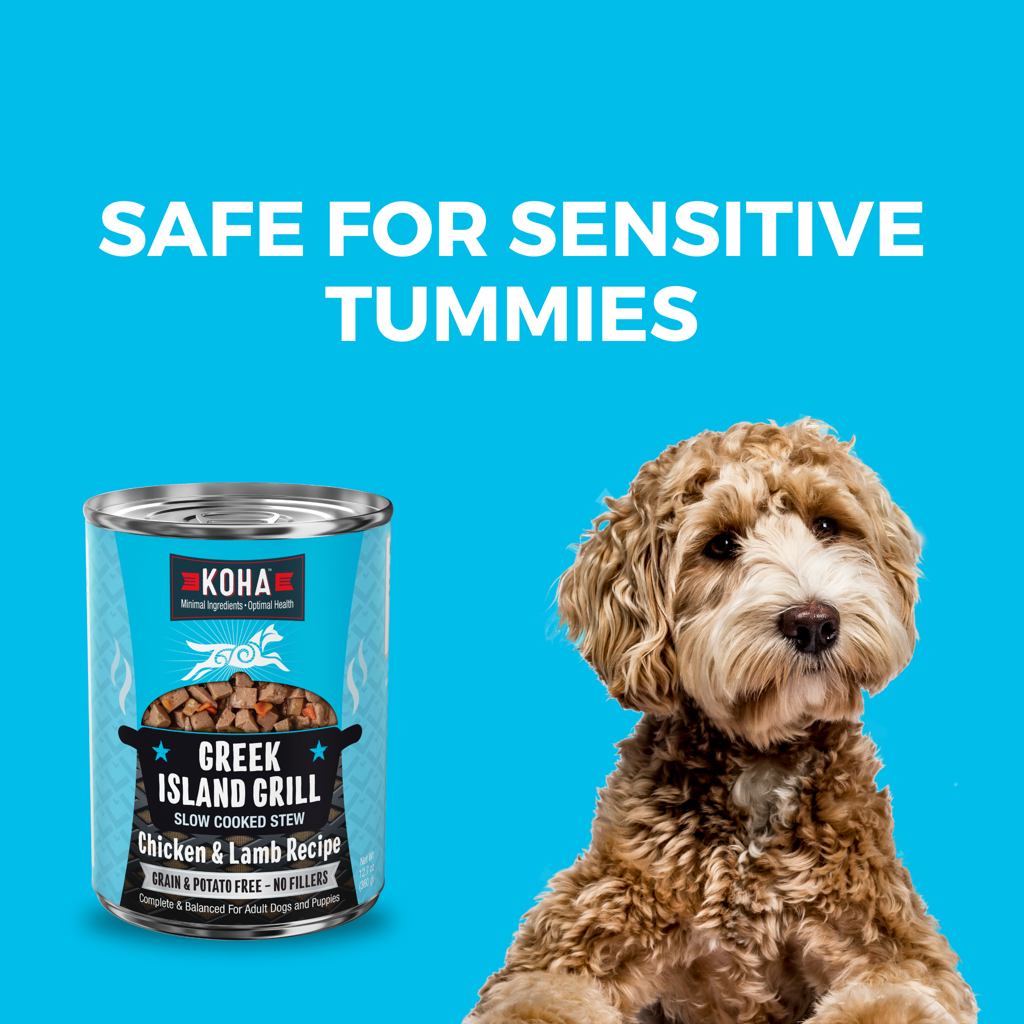 KOHA Greek Island Grill 12.7 oz can beside a calm dog, a grain and potato free recipe for sensitive stomachs