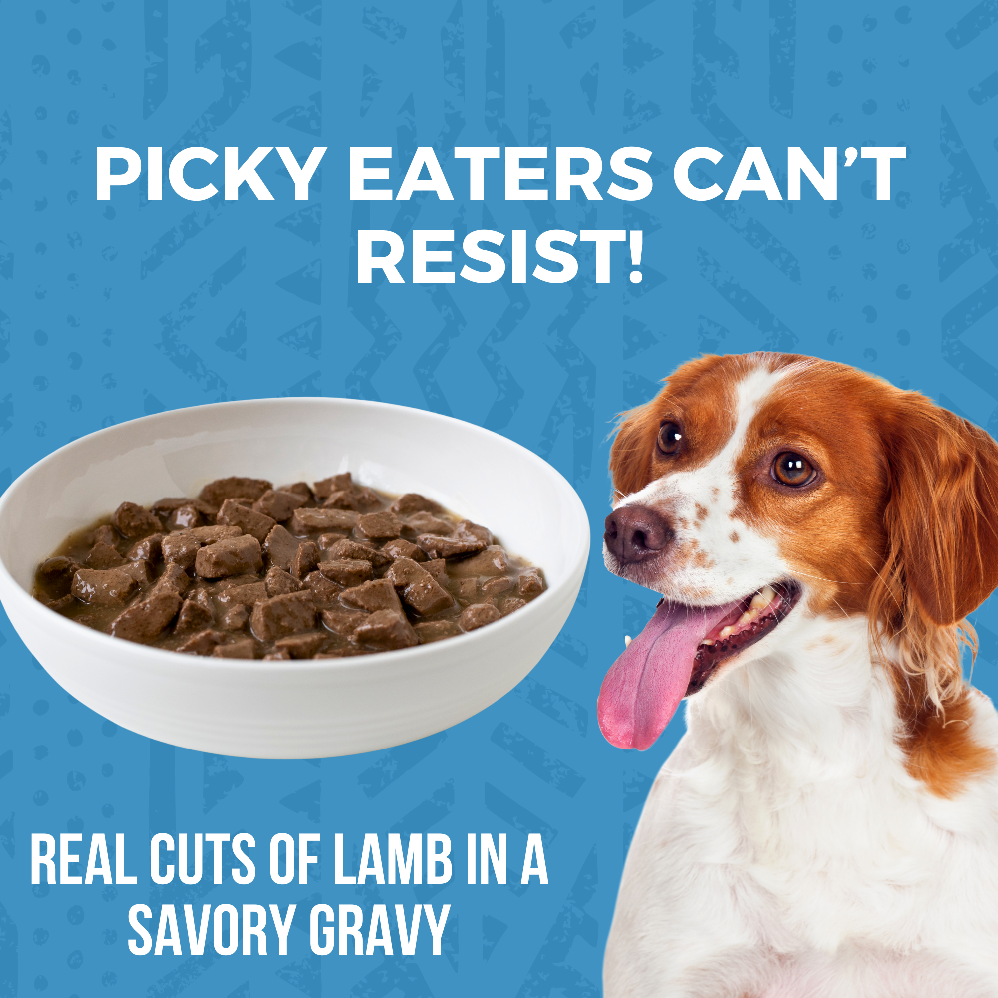Bowl of KOHA Lamb Stew with real cuts of lamb in a savory gravy beside a happy dog, made to tempt picky eaters