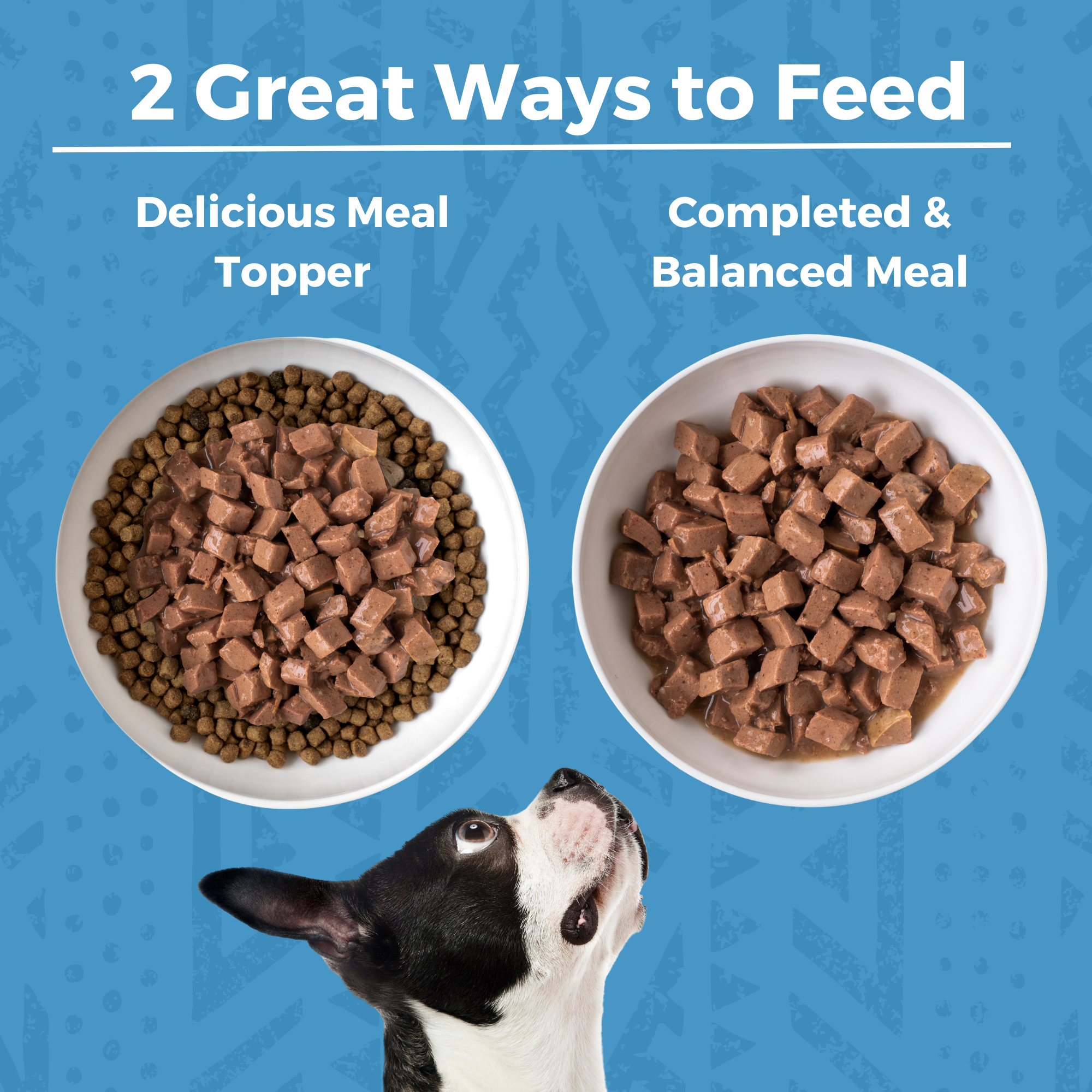 Two ways to feed KOHA Lamb Stew for dogs: as a delicious meal topper over kibble or as a complete and balanced meal