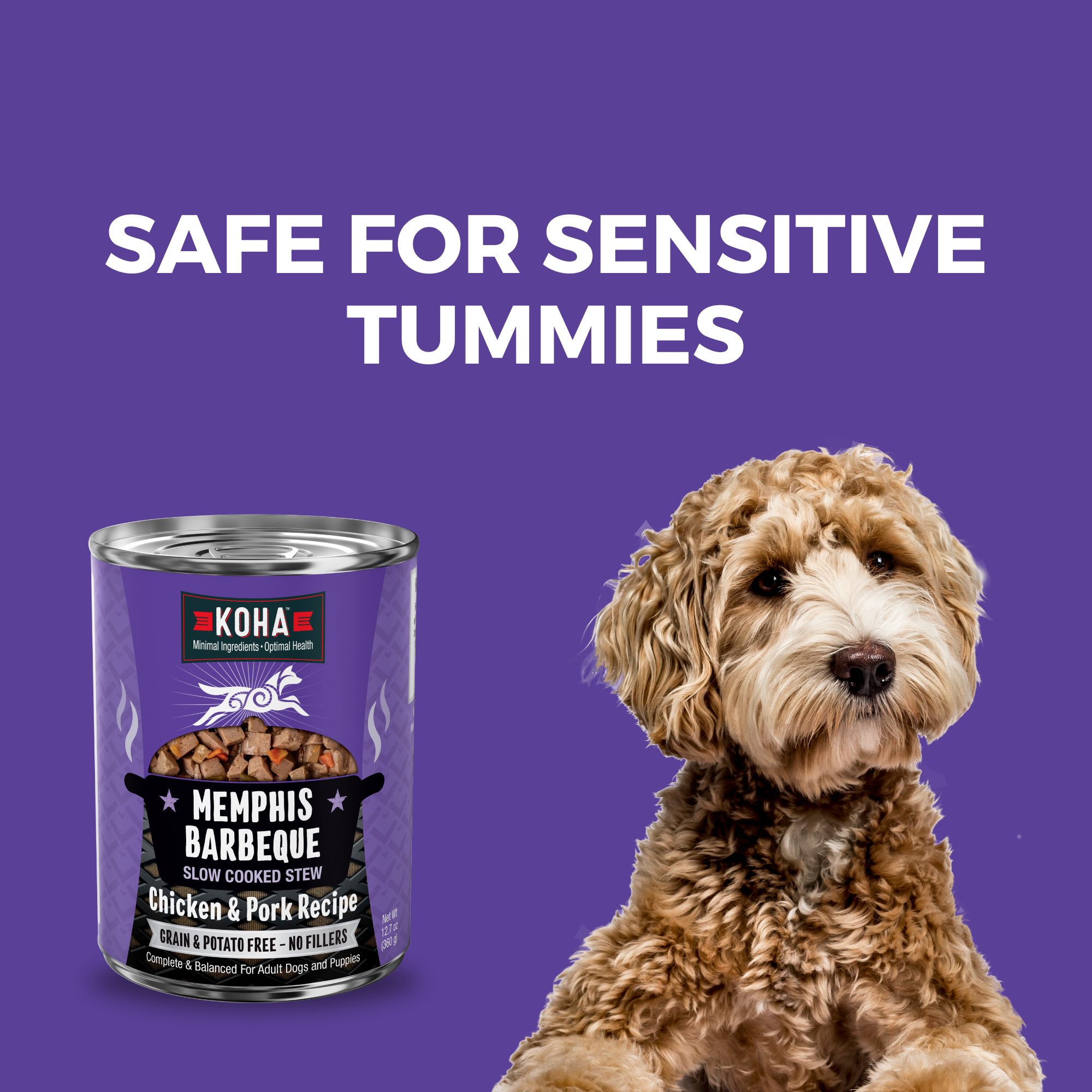 KOHA Memphis Barbeque 12.7 oz can beside a calm dog, a grain and potato free recipe for sensitive stomachs
