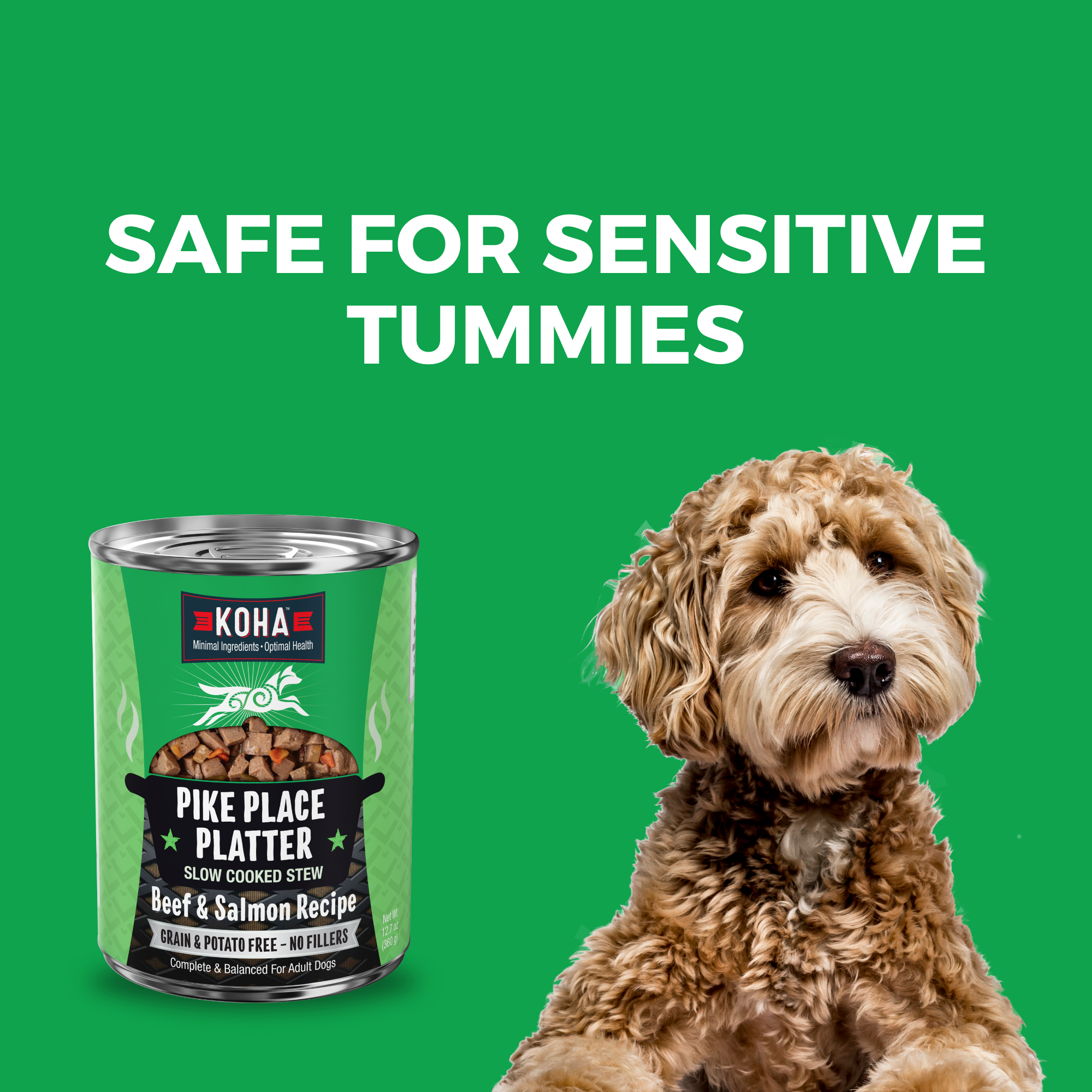 KOHA Pike Place Platter beef and salmon stew 12.7 oz can beside a calm dog, a grain and potato free recipe for sensitive stomachs