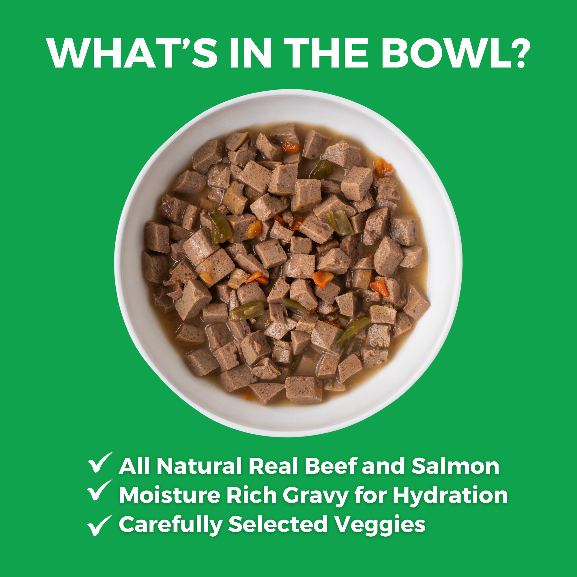 Bowl of KOHA Pike Place Platter for dogs with all natural real beef and salmon, moisture-rich gravy for hydration, and carefully selected veggies
