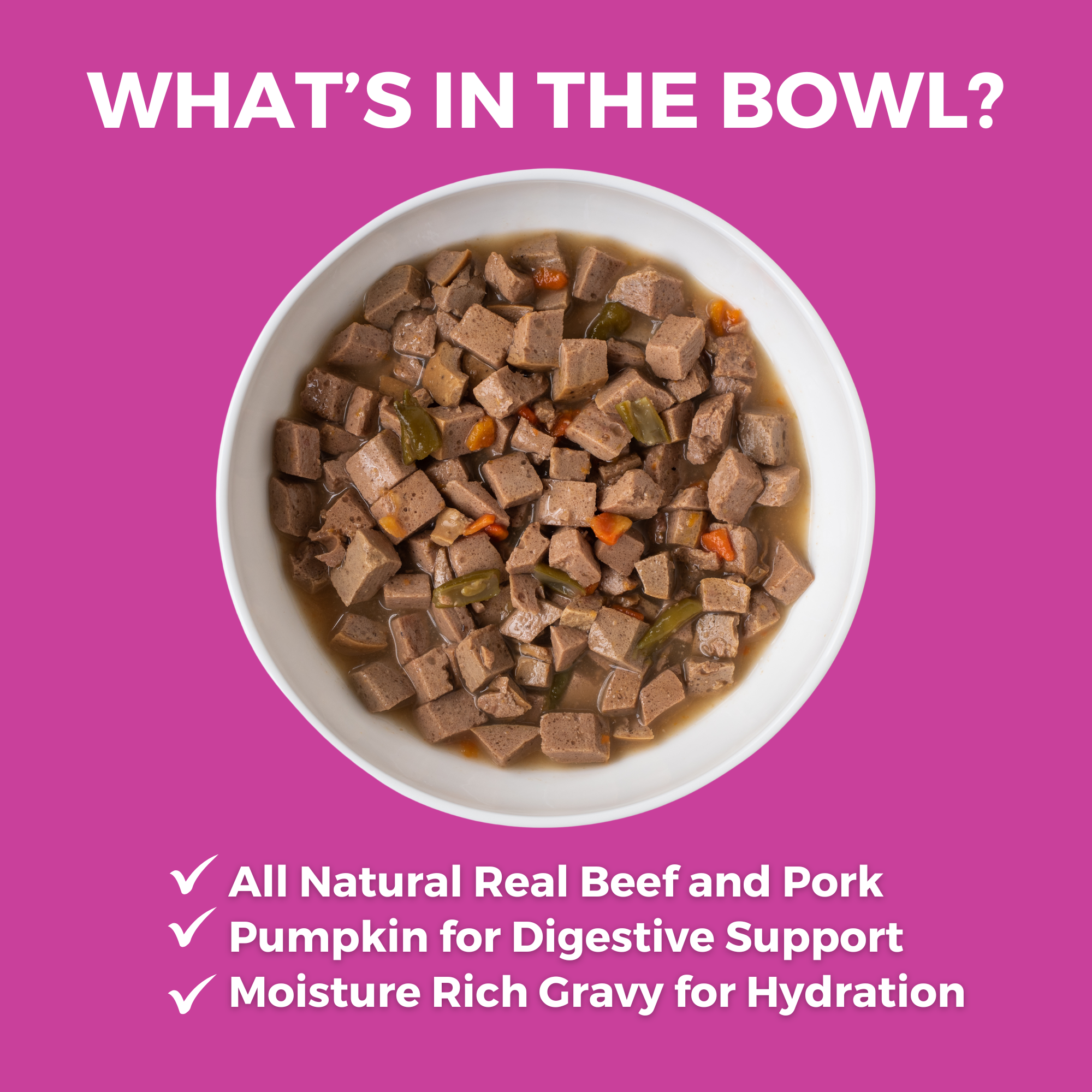 Bowl of KOHA Santa Fe Skillet for dogs with all natural real beef and pork, pumpkin for digestive support, and moisture-rich gravy for hydration