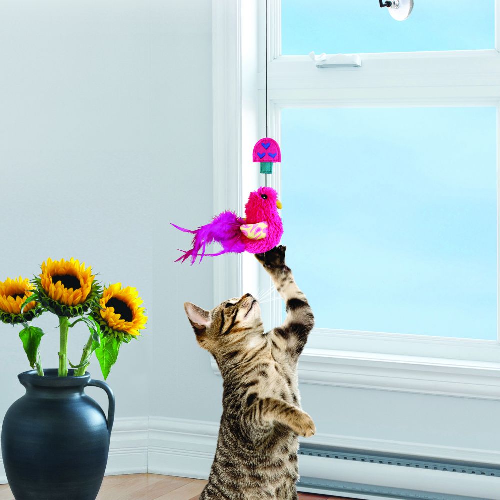 Cat leaping to swat the KONG Connects Window Teaser mounted on a window