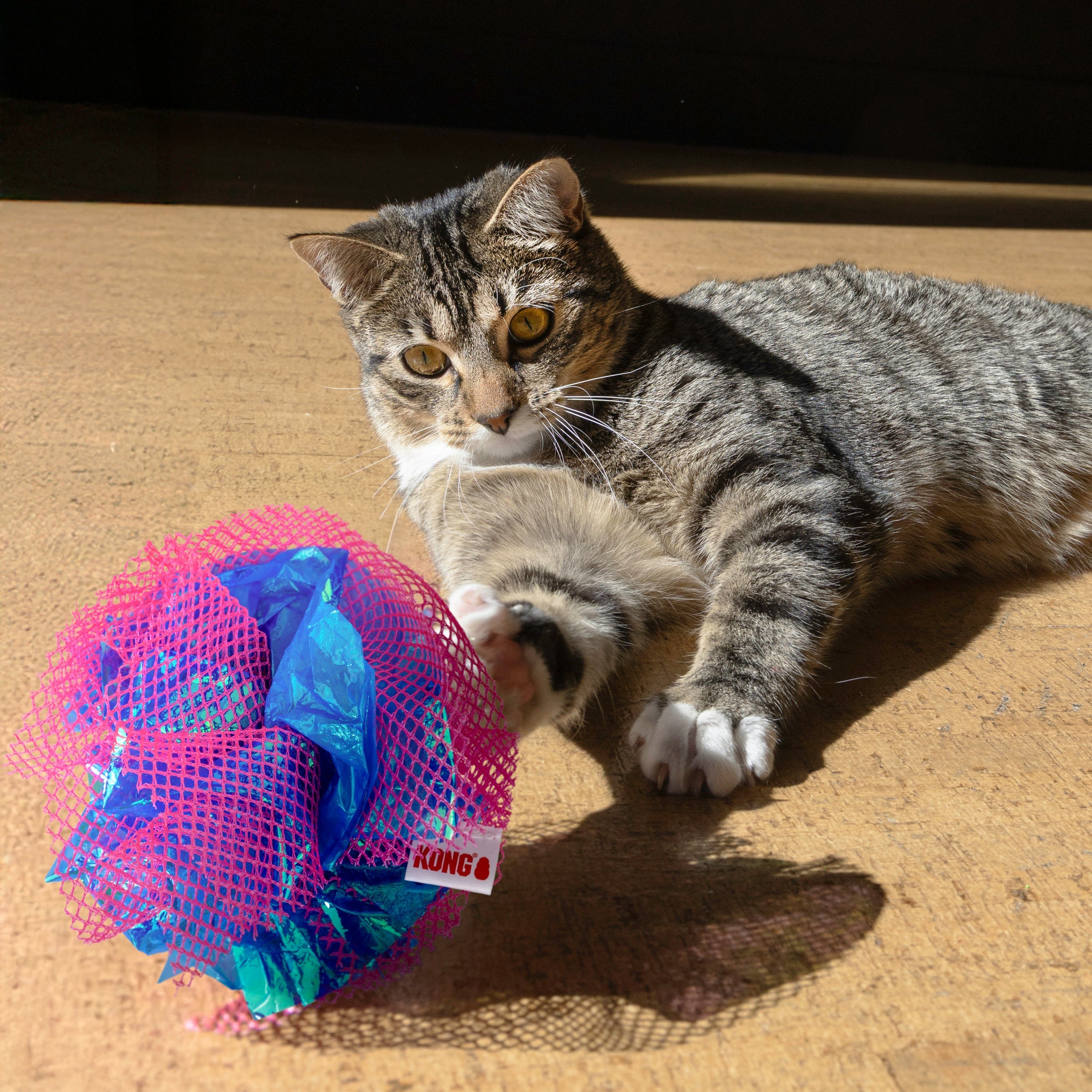Cat swatting a KONG Crackles Fluff Ball