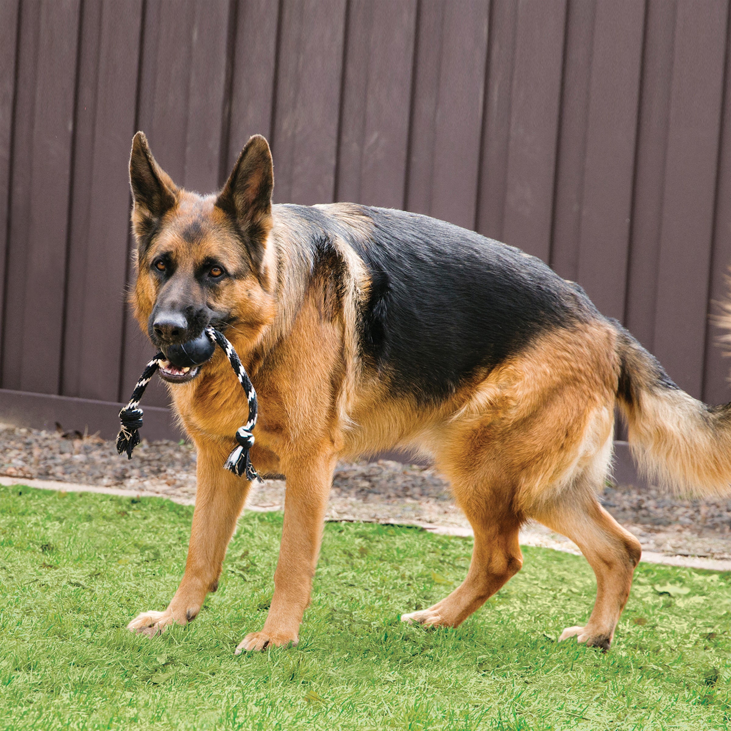 KONG Extreme Ball with Rope Dog Toy