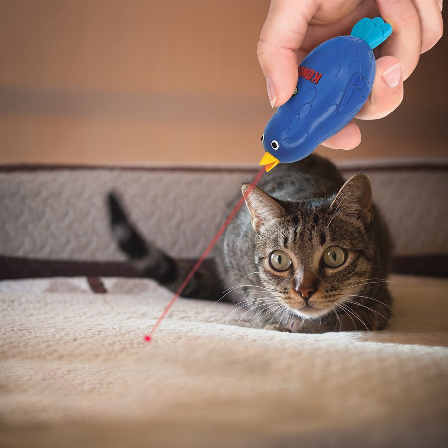 KONG Laser Chirps Bird Cat Toy