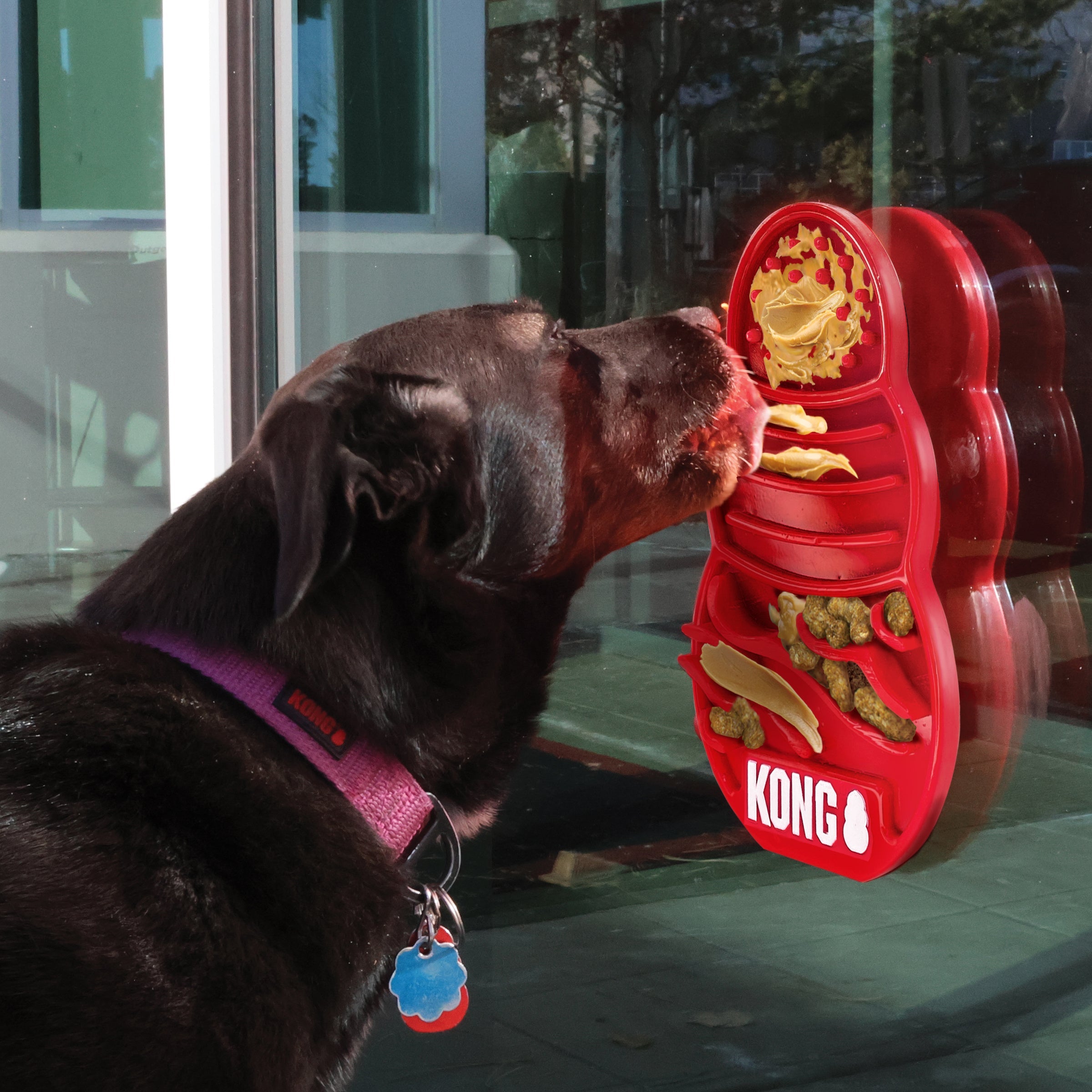 Dog enjoying KONG Licks mat suction-cupped to a window