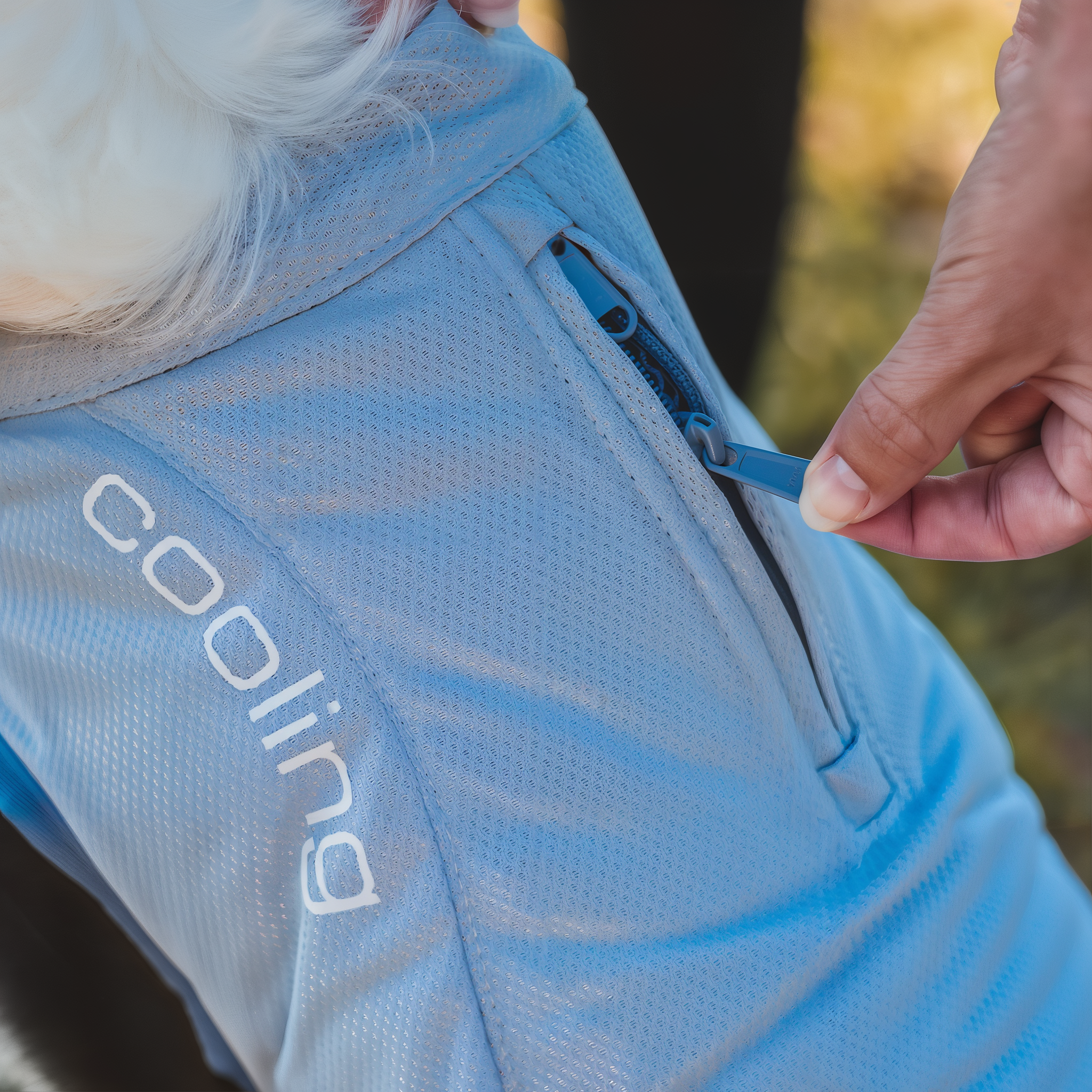 Dog running outdoors in a Kurgo Core Cooling Vest