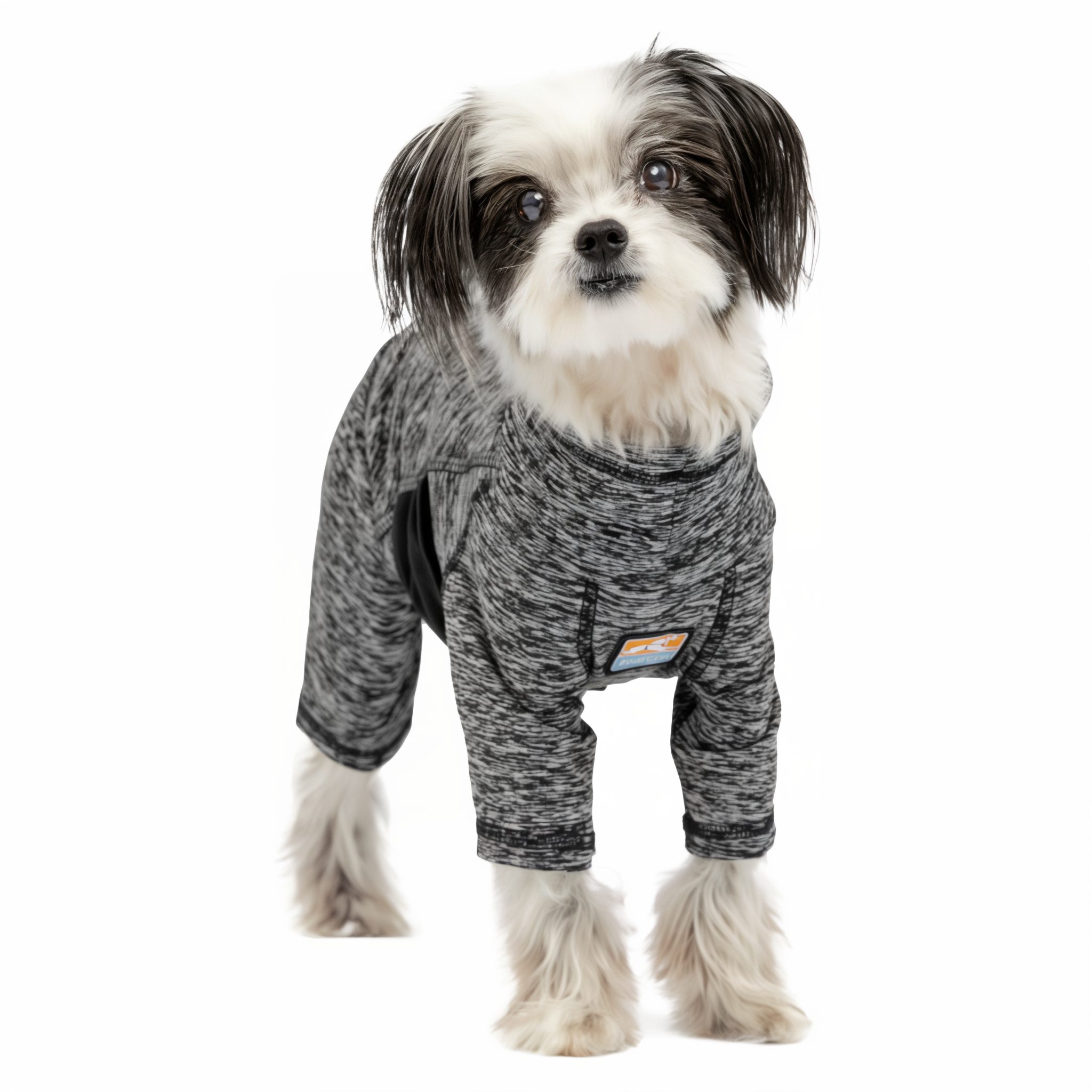 Small dog wearing the Kurgo Stowe Base Layer indoors