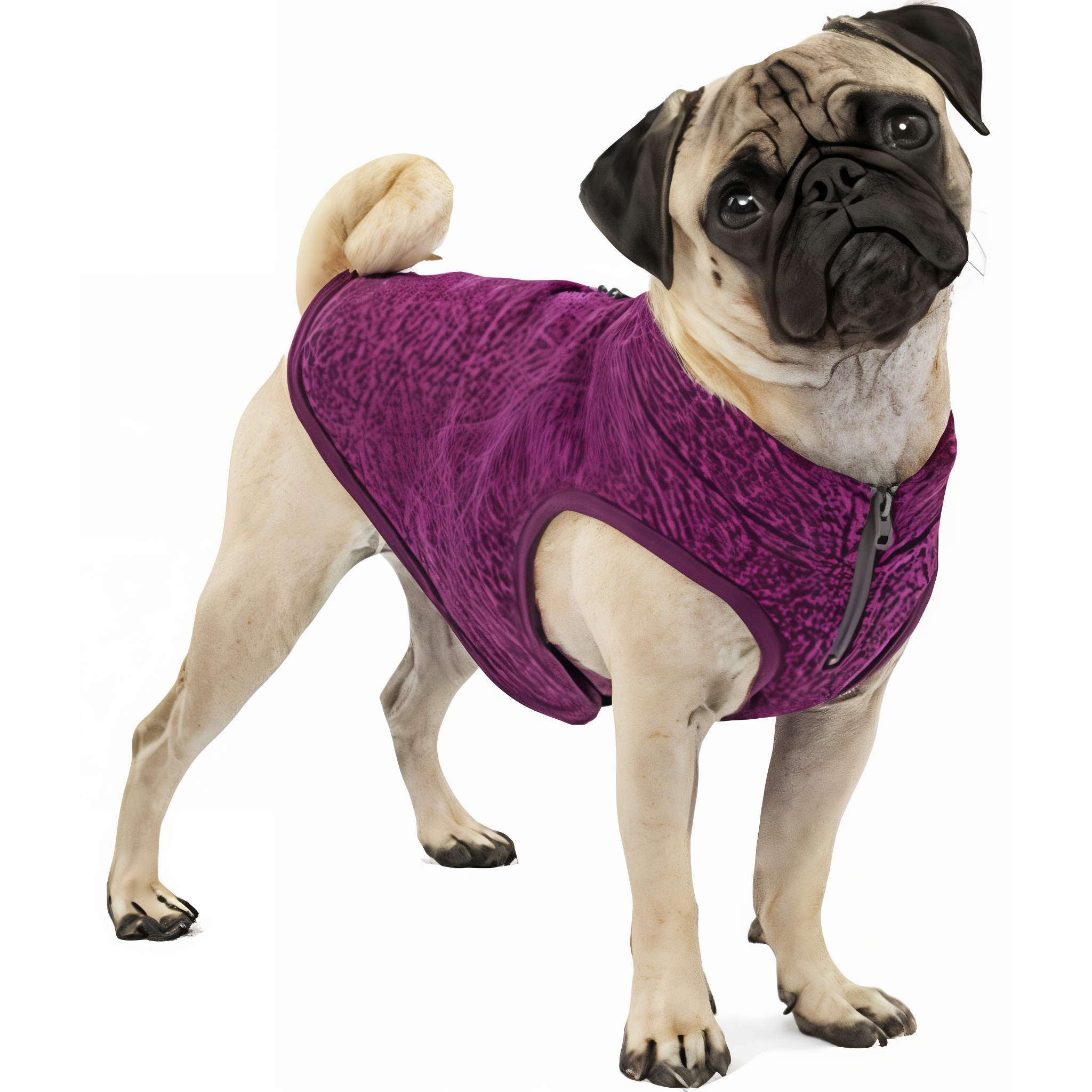 K9 Core Sweater