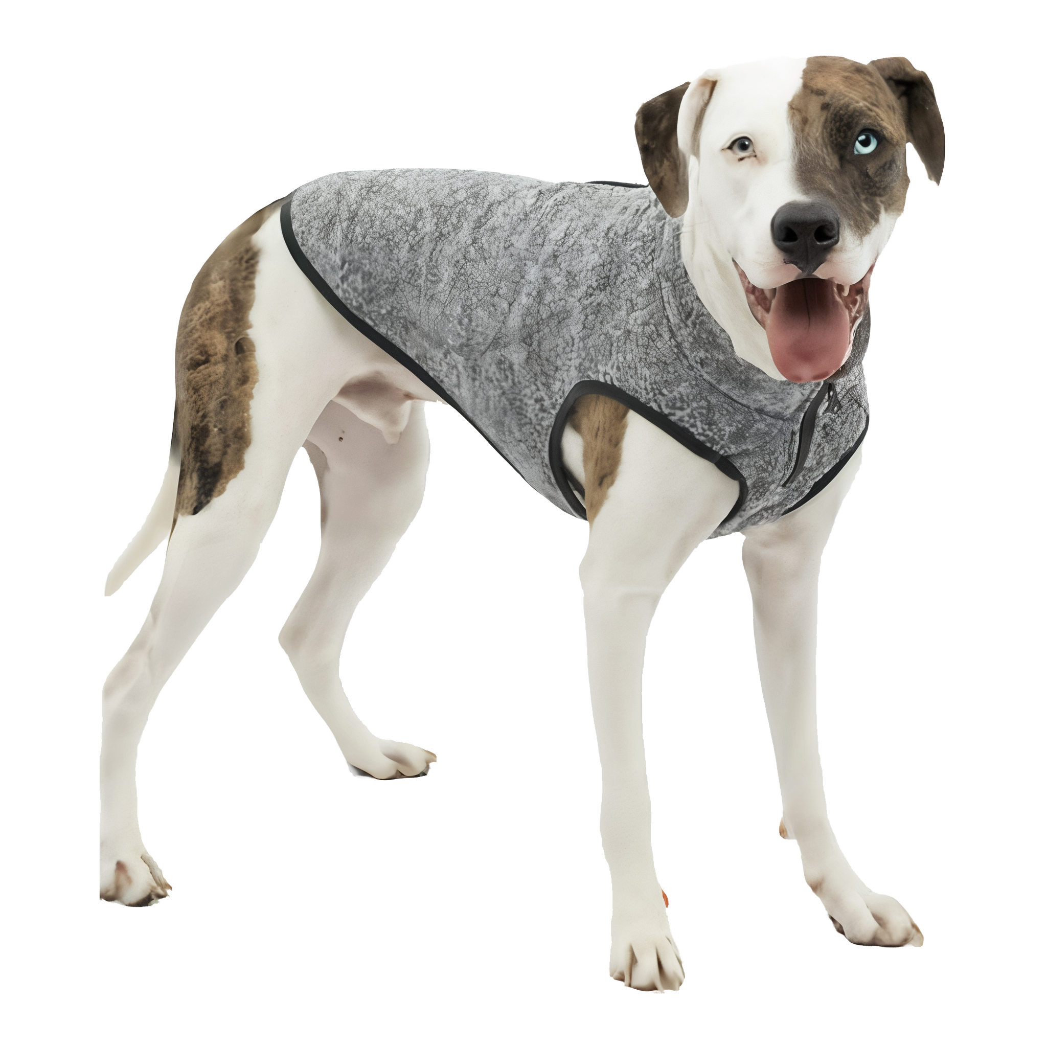 Kurgo Core Dog Sweater in Heather Black, Large size. #Heather Black#Large