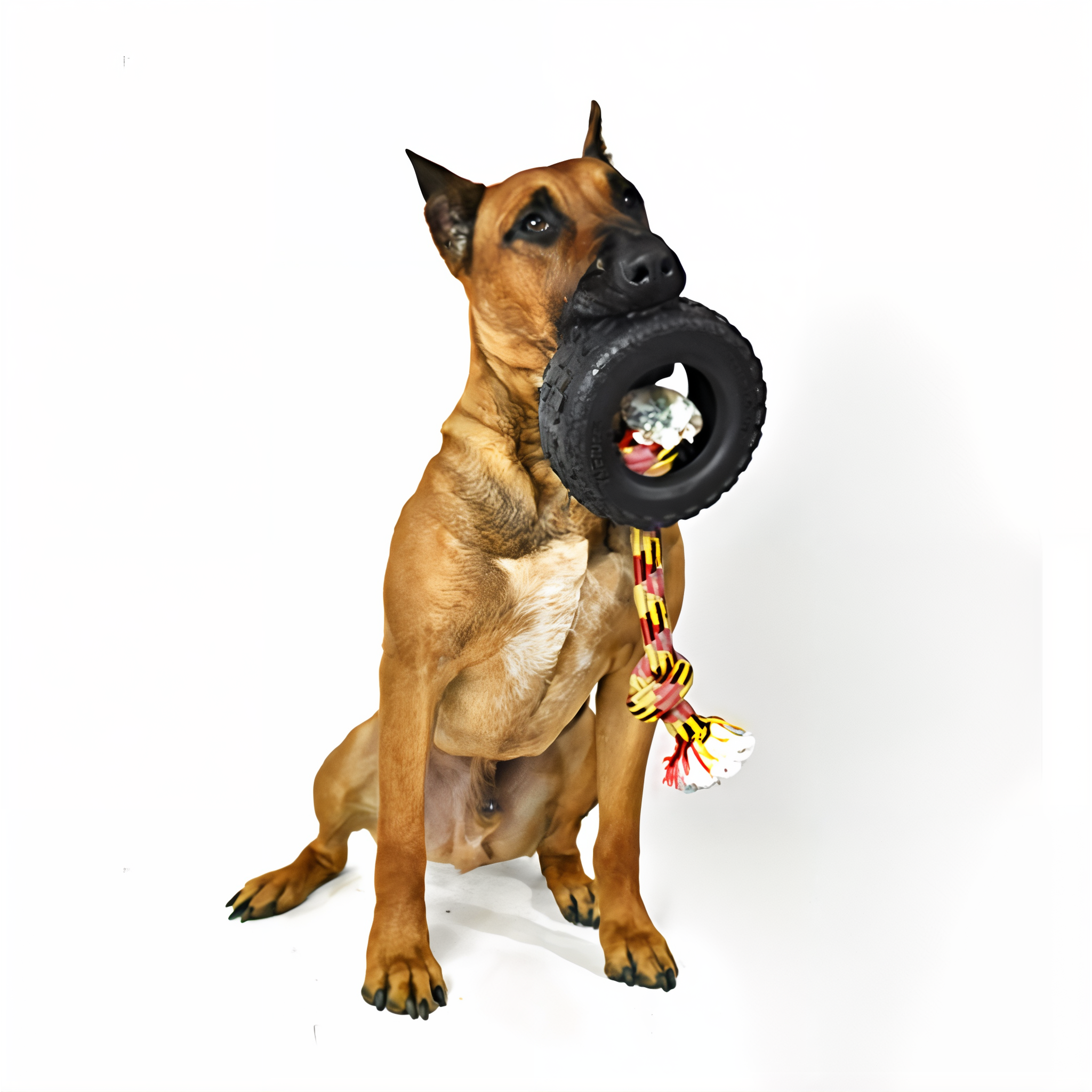 Mammoth TireBiter II with Cotton-Poly Rope Dog Toy