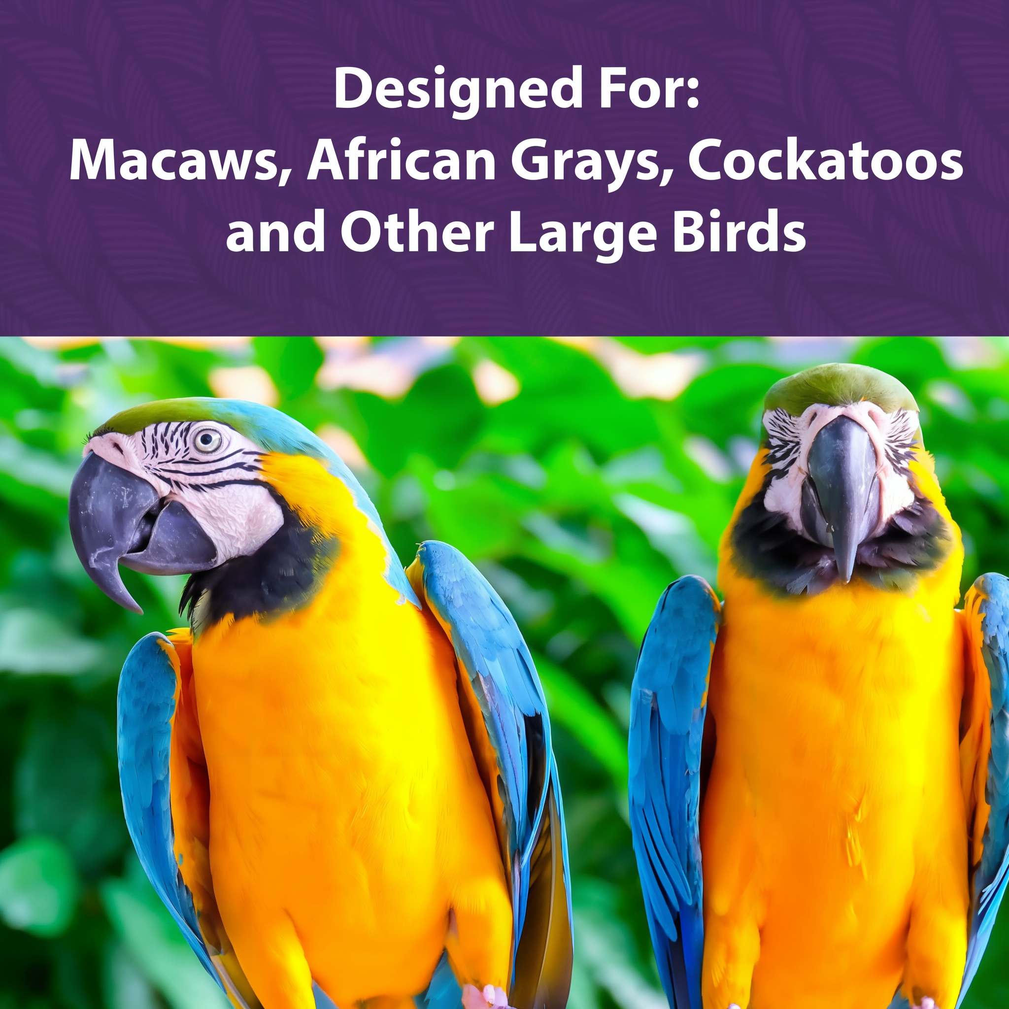 Mazuri Large Bird Diet benefits and features