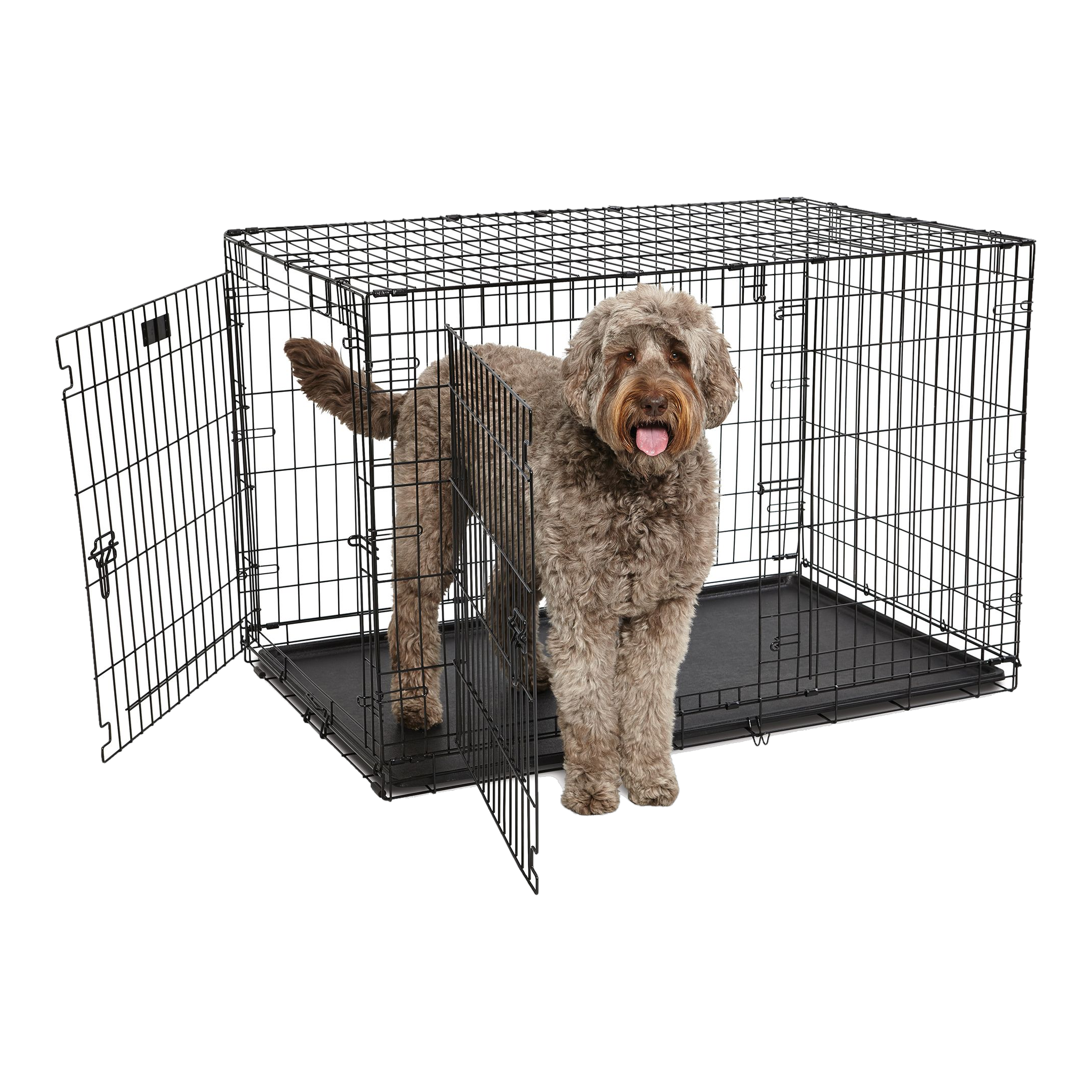 MidWest Contour Dog Crate 48 Inch Double Door