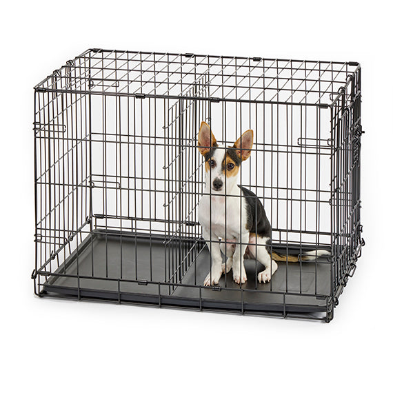 MidWest Contour Dog Crate