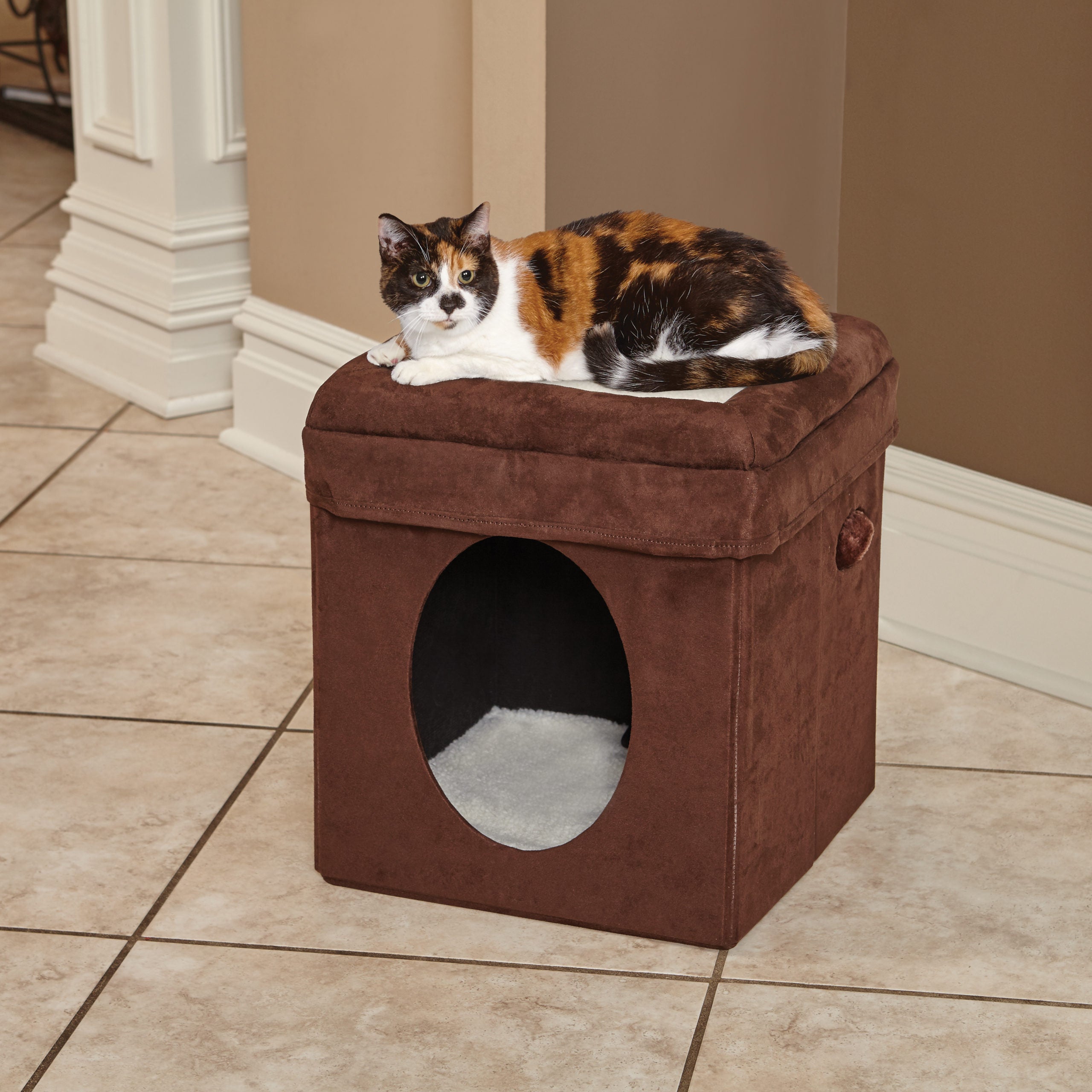 MidWest Curious Cat Cube in a living room