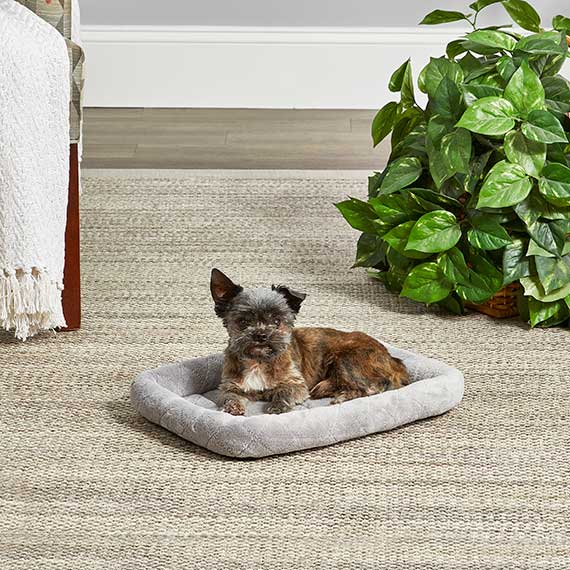 MidWest QuietTime Deluxe Diamond Stitch Pet Bed