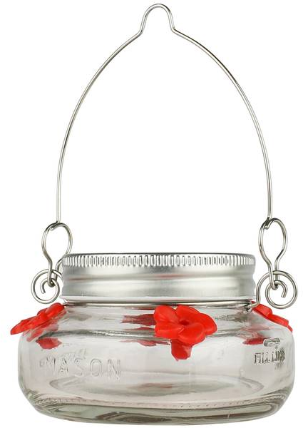 Nature's Way Bird Products Mason Jar Hummingbird Dish Feeder