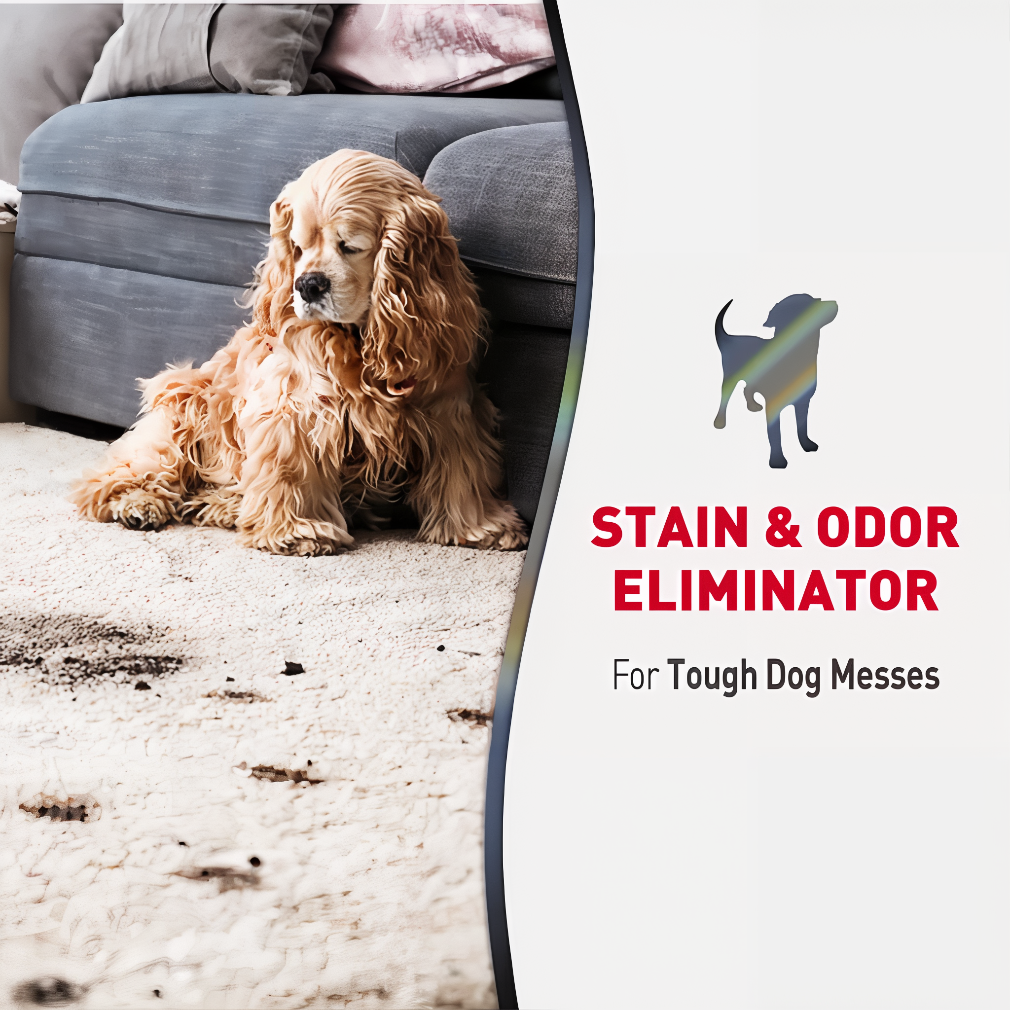 Nature's Miracle Advanced Stain and Odor Eliminator Foam Dog adv dog sofoam g03 stainandodoreliminator