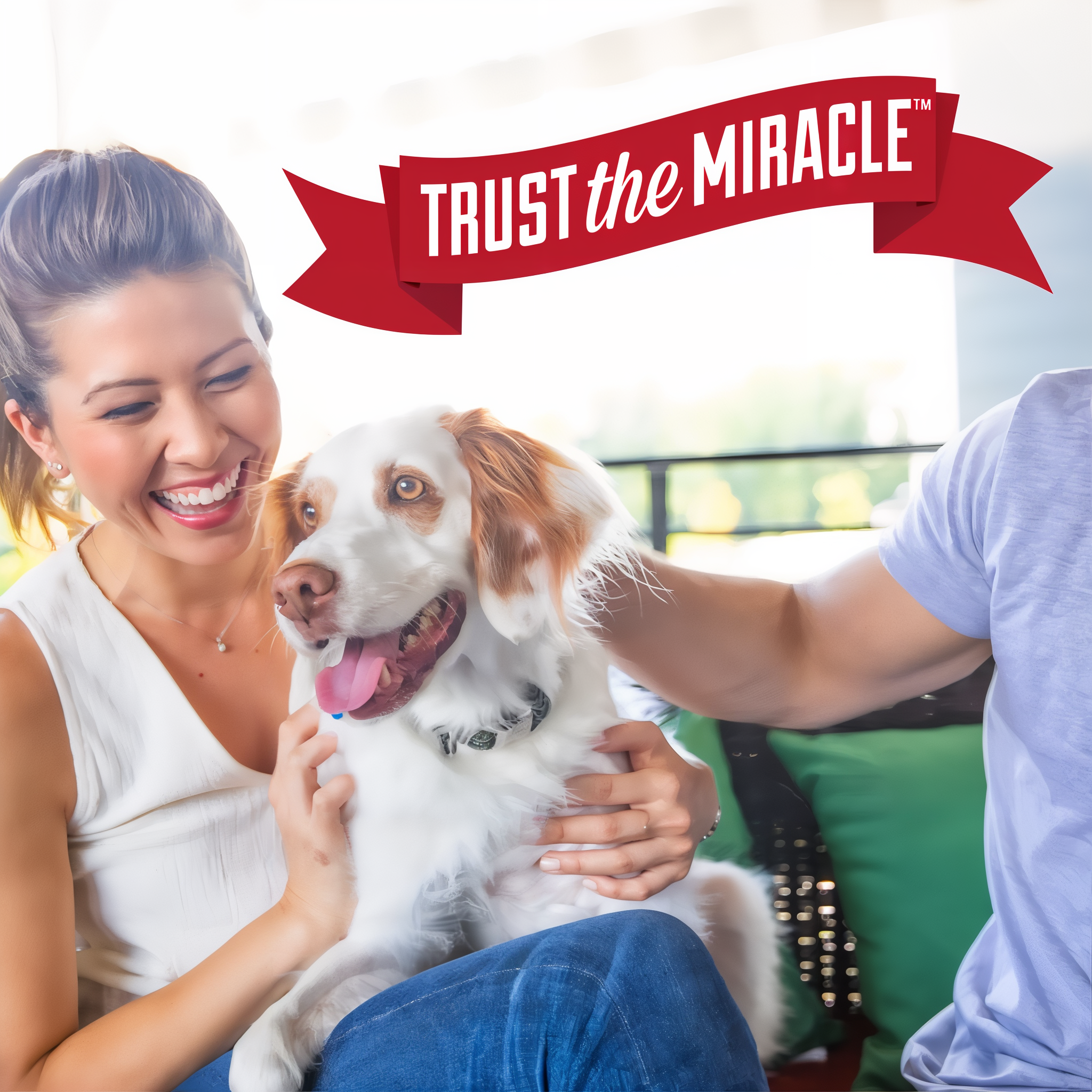 Nature's Miracle Set-In Stain Destroyer Dog Oxy Formula dog setinstainremover 24oz g09 brandstatement