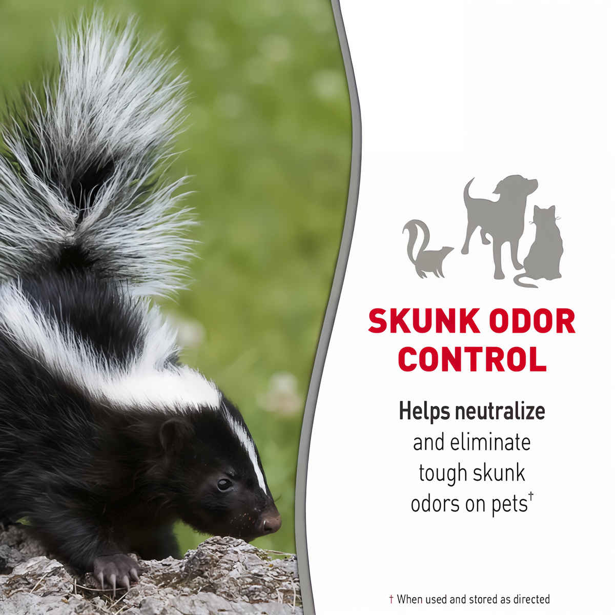 Skunk odor control helps neutralize and eliminate tough skunk odors on pets