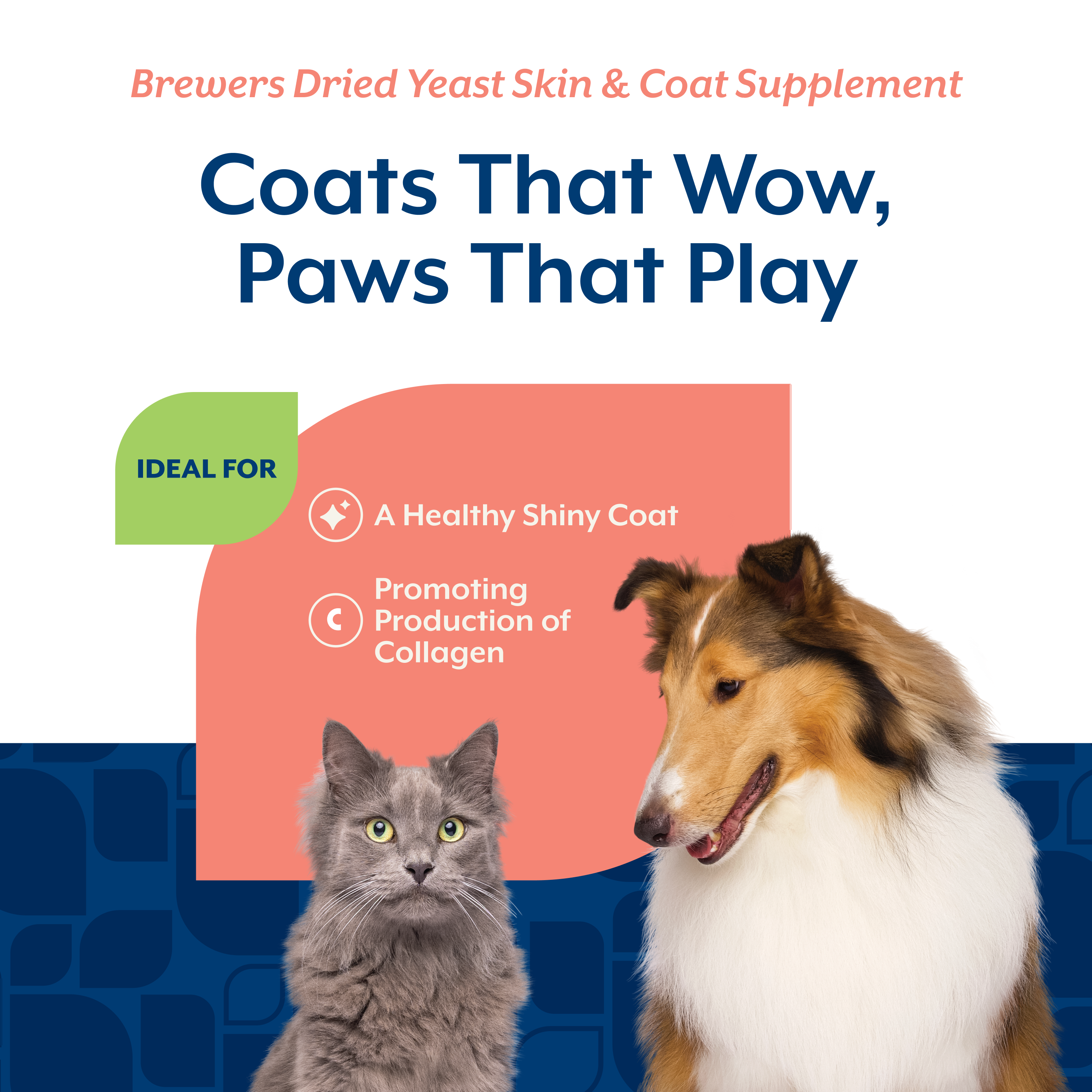 Chart showing Brewers Dried Yeast supports a healthy shiny coat and promotes collagen production